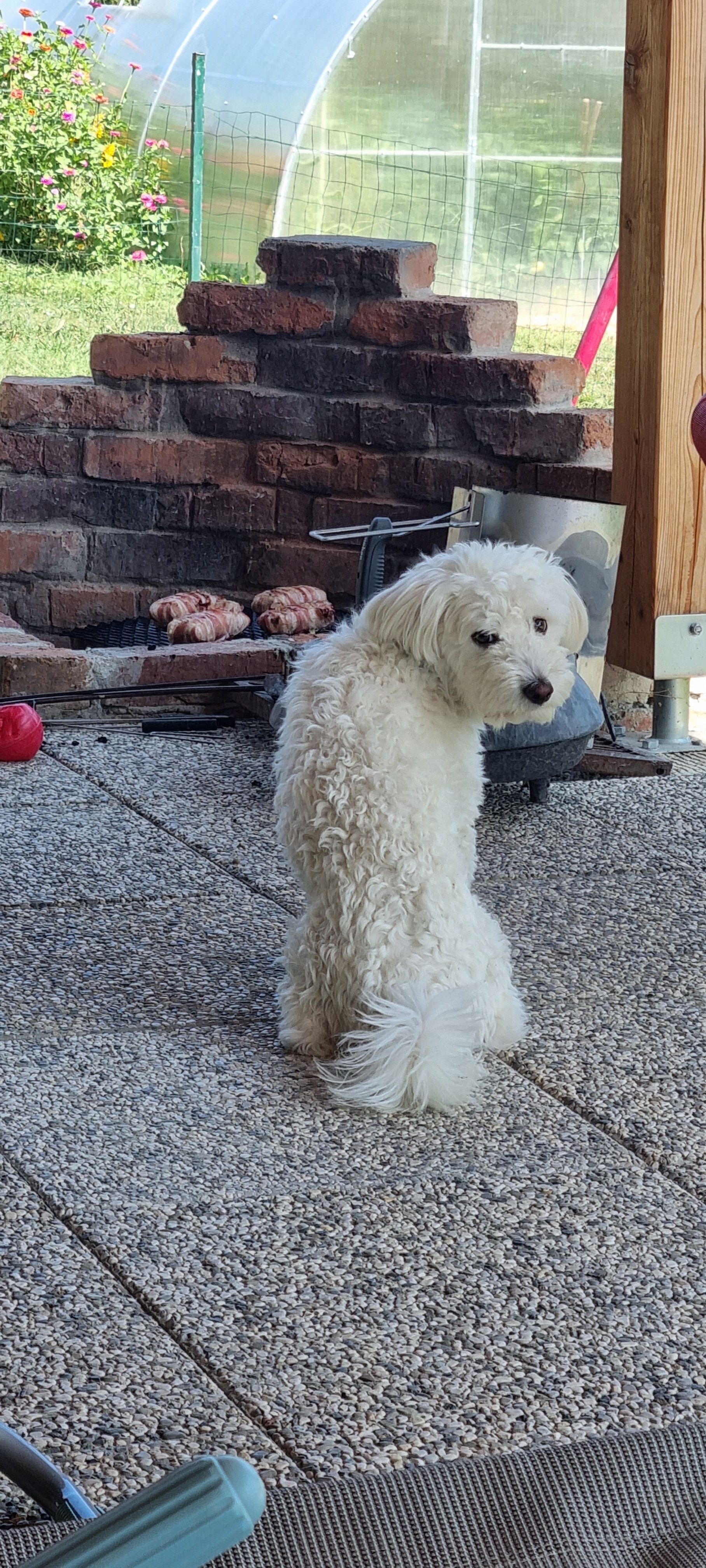 Medo - Kuzma 104, Kuzma