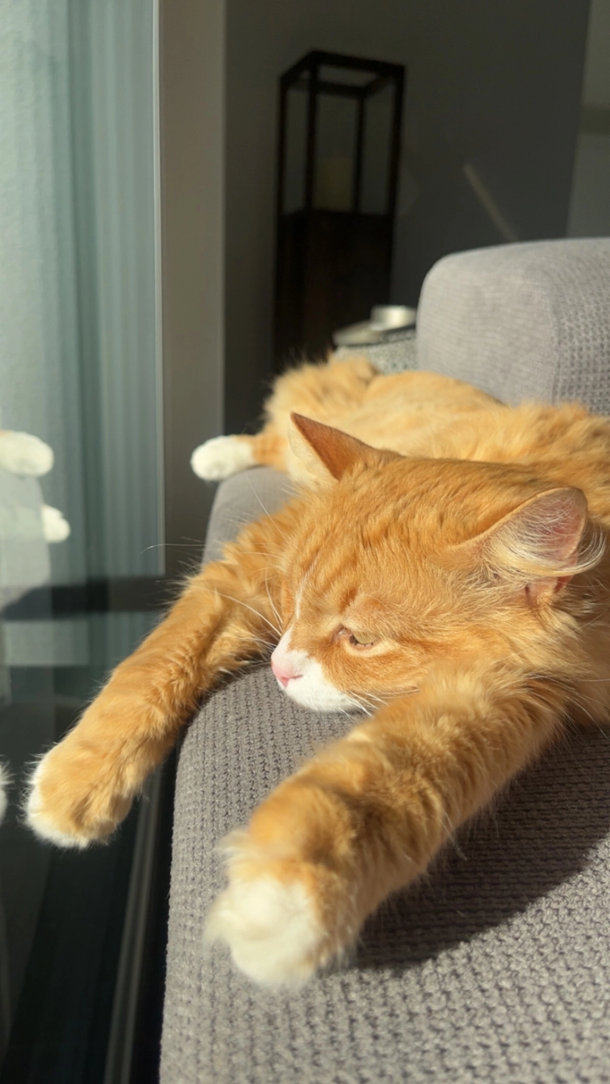 Milky - Islikonerstrasse, Gachnang