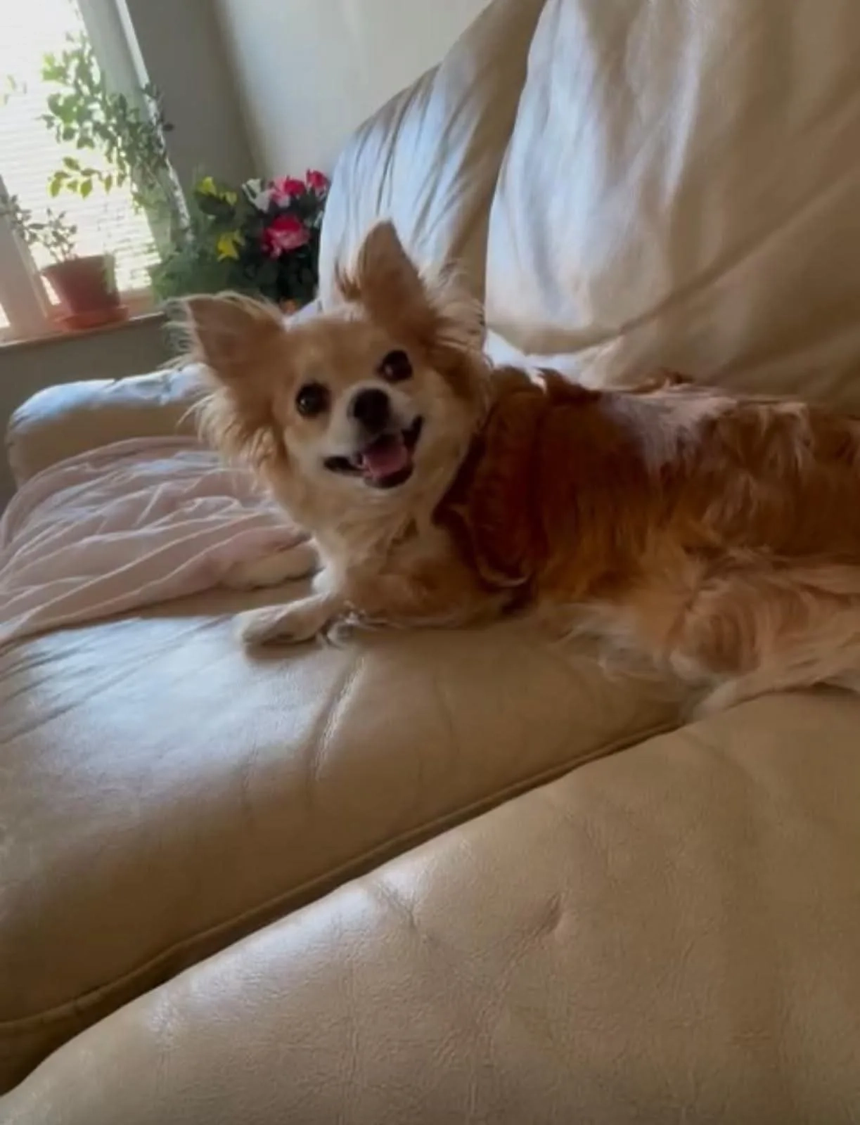 Belle - High Street, London