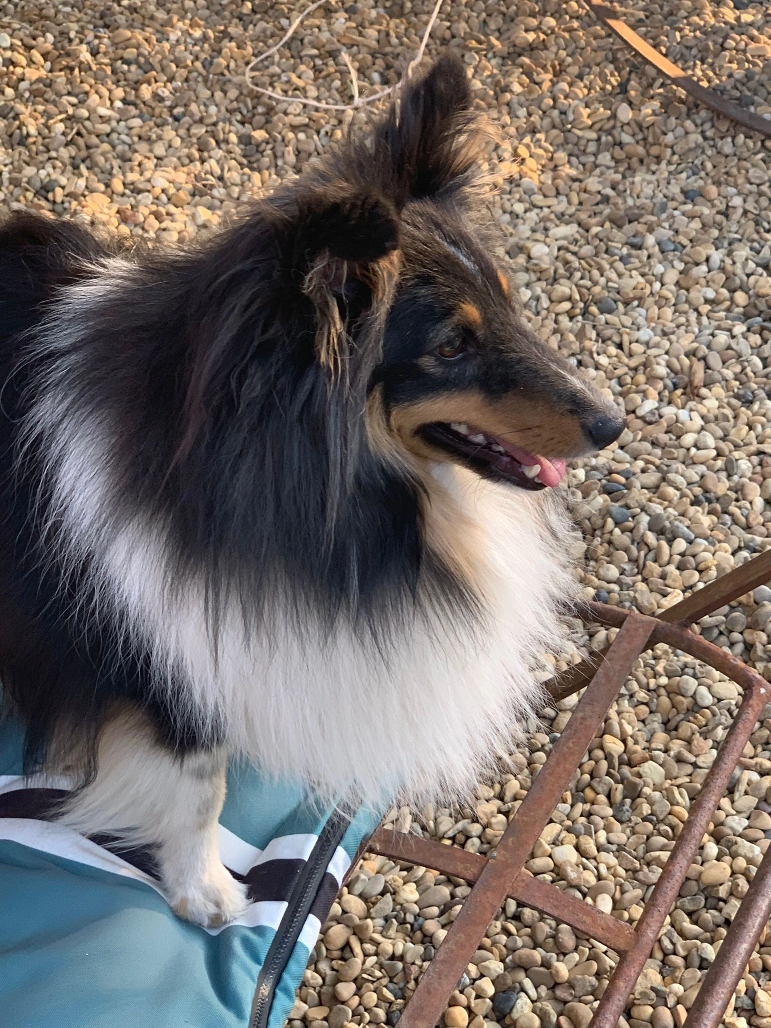 Riven - 375 Chemin Mas de Licon, Uzès