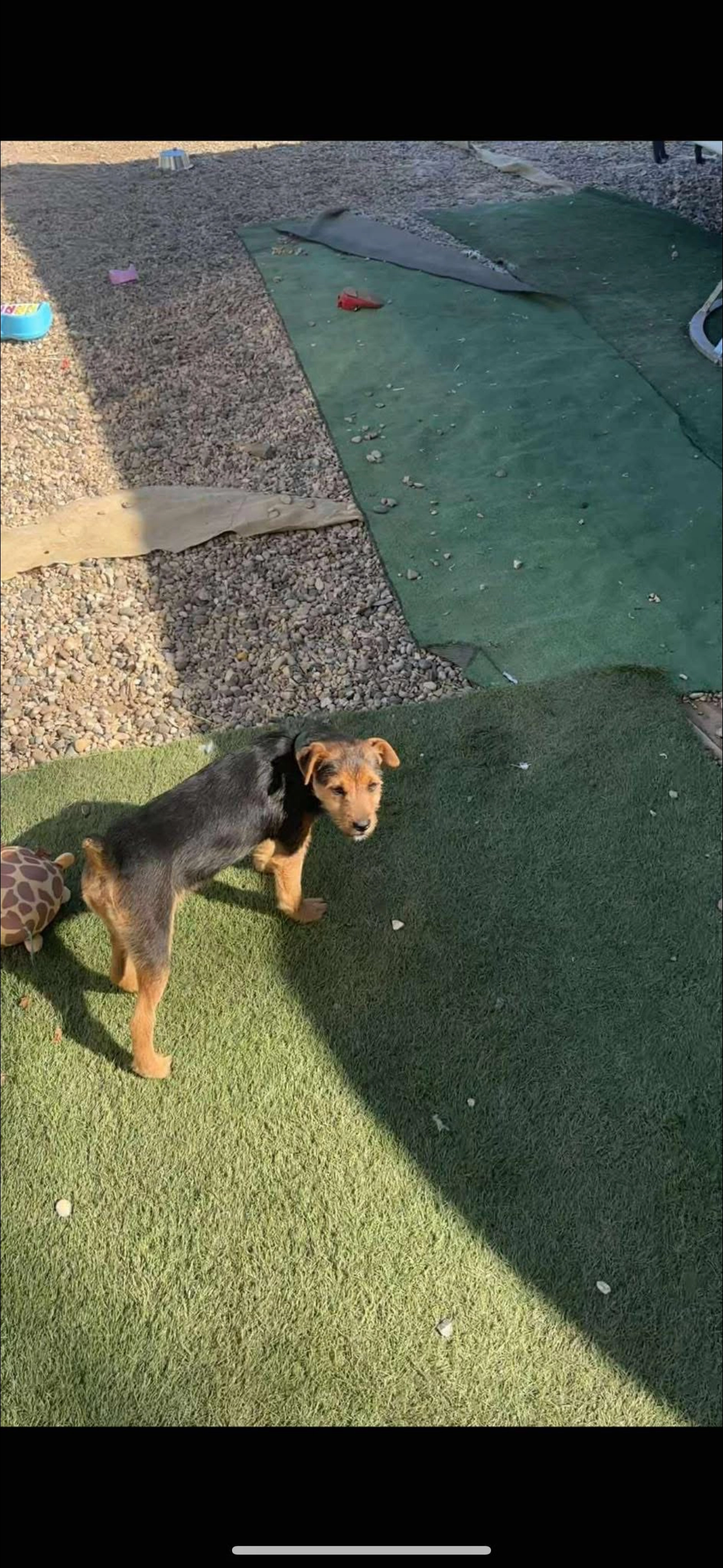 Lucky - SG11 1, Ware