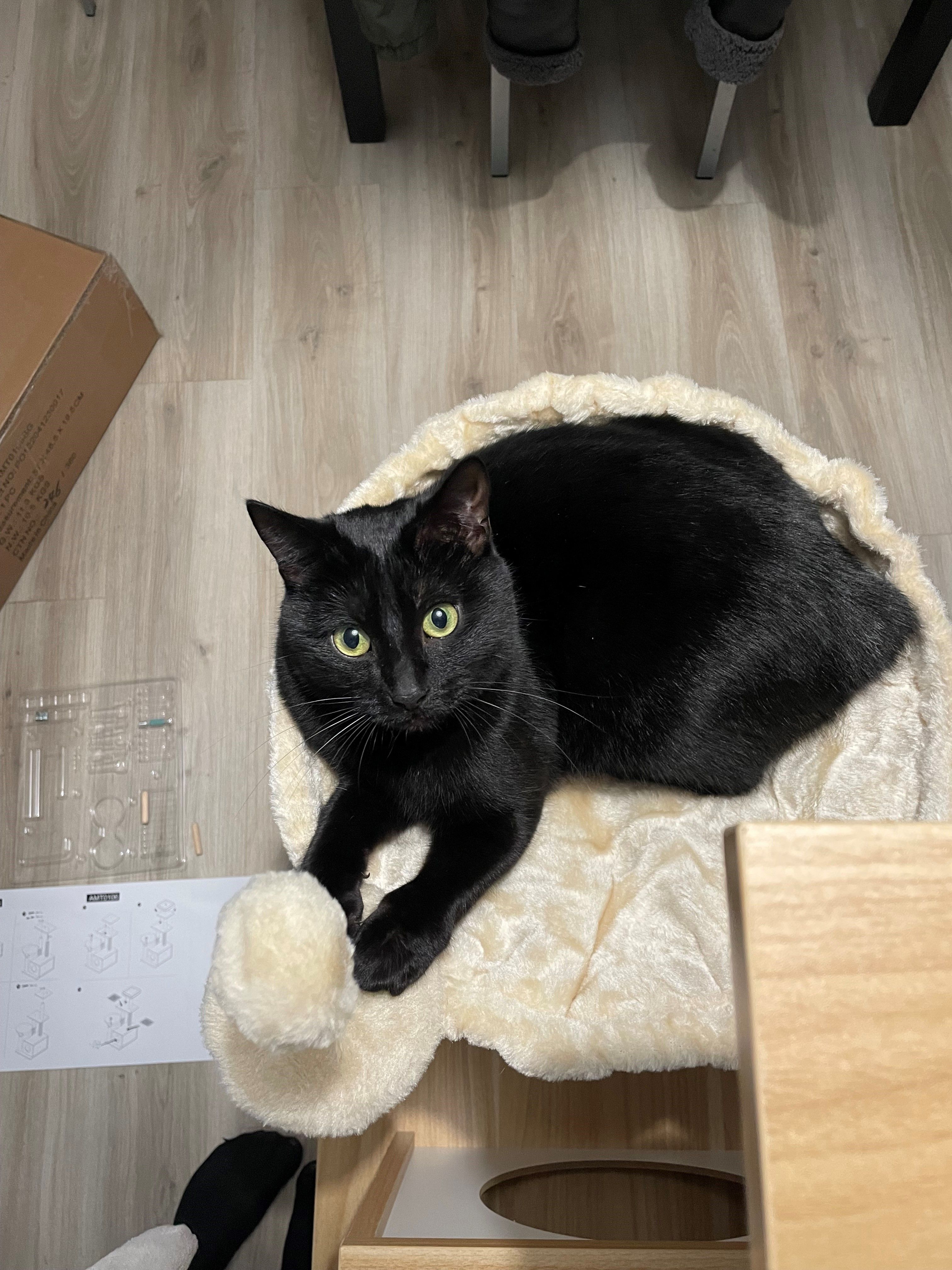 Chachatte - Impasse Anatole Le Braz, Fougères