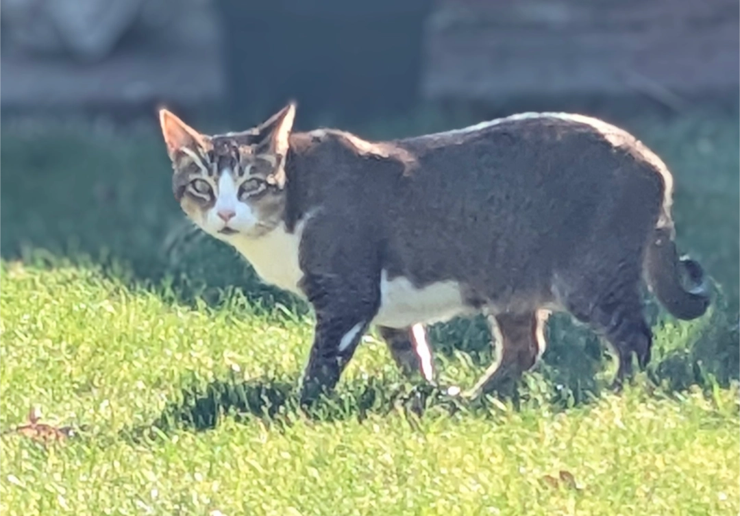 Bella King - Spalford, Nottinghamshire