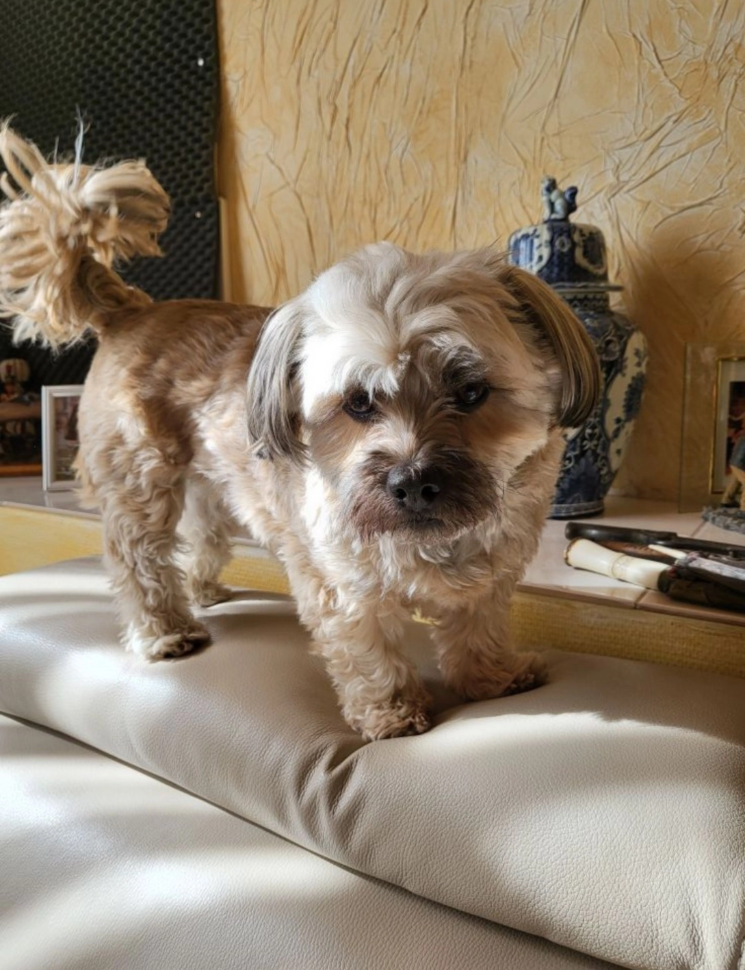 Poupette - Rue de Loverval 71A, Châtelet