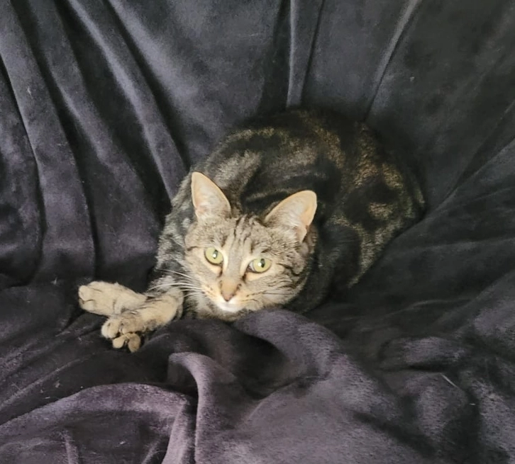 Maya - 20 Rue de la Gare, Deuil-la-Barre