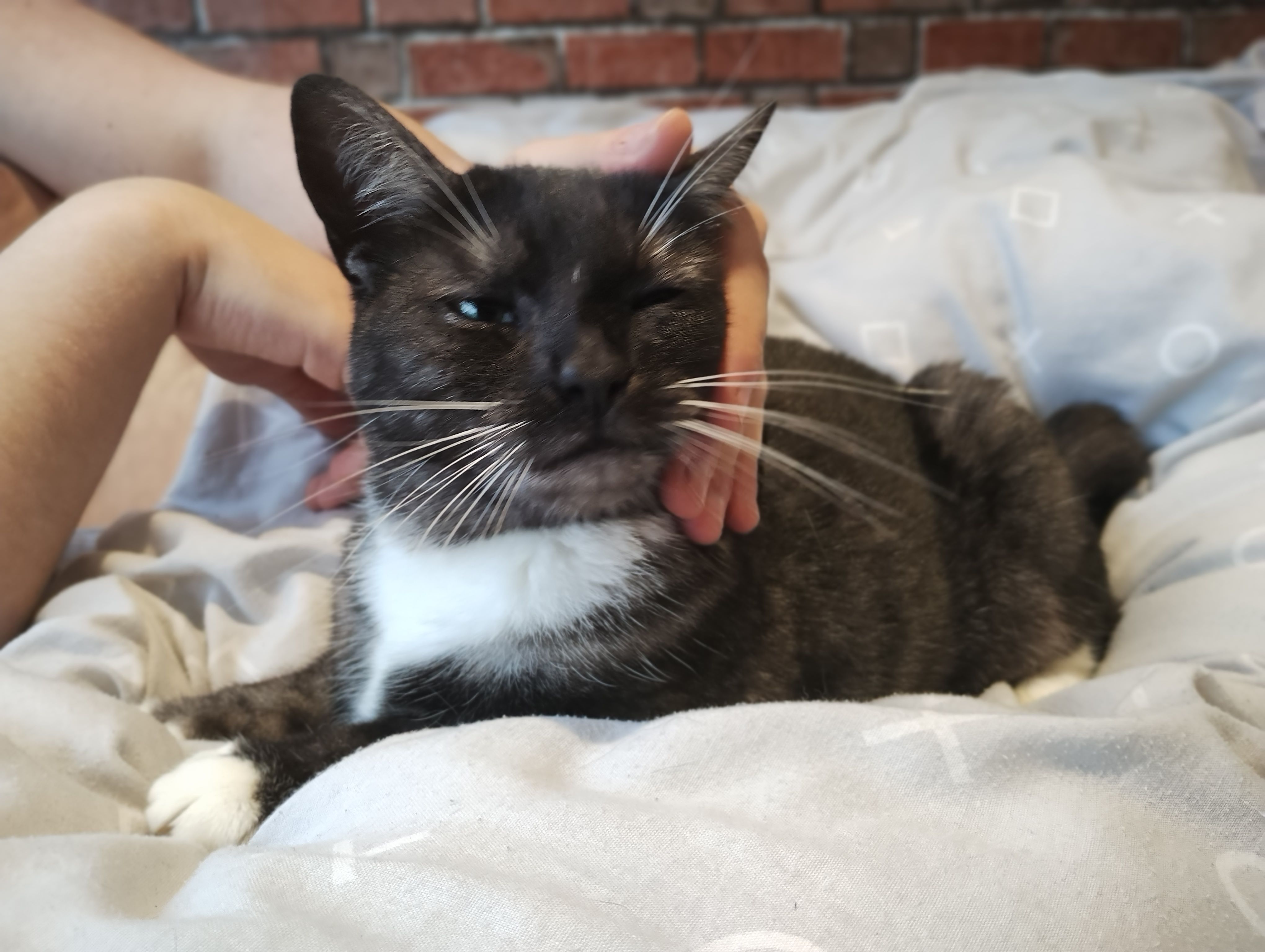 Lara - South Edge, Keighley