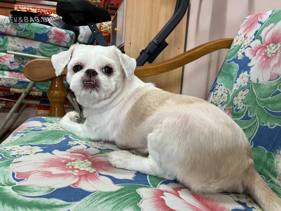 Xiao Mei - 70400, Seremban