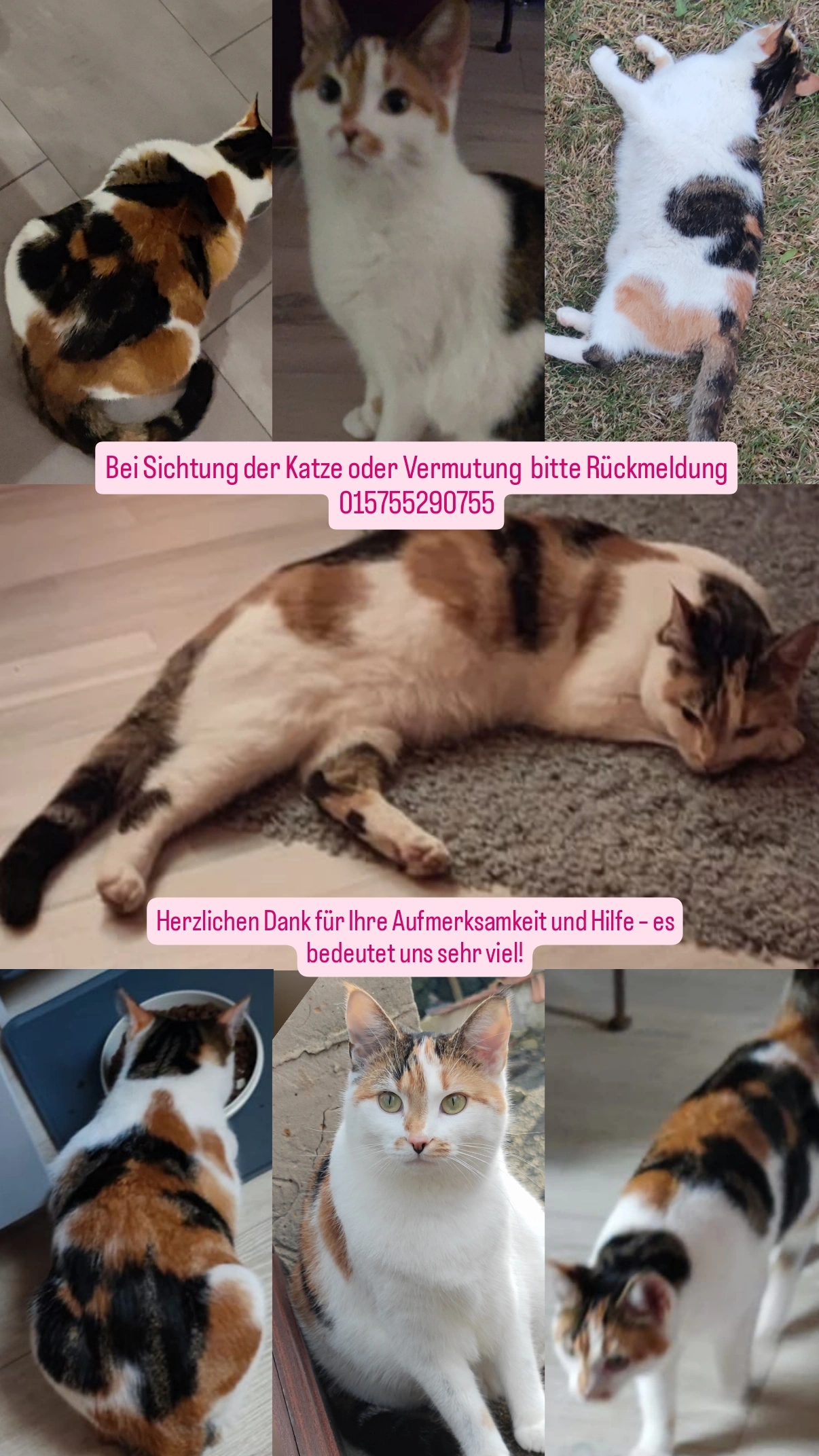 Nala - Allendorfer Straße, Allendorf