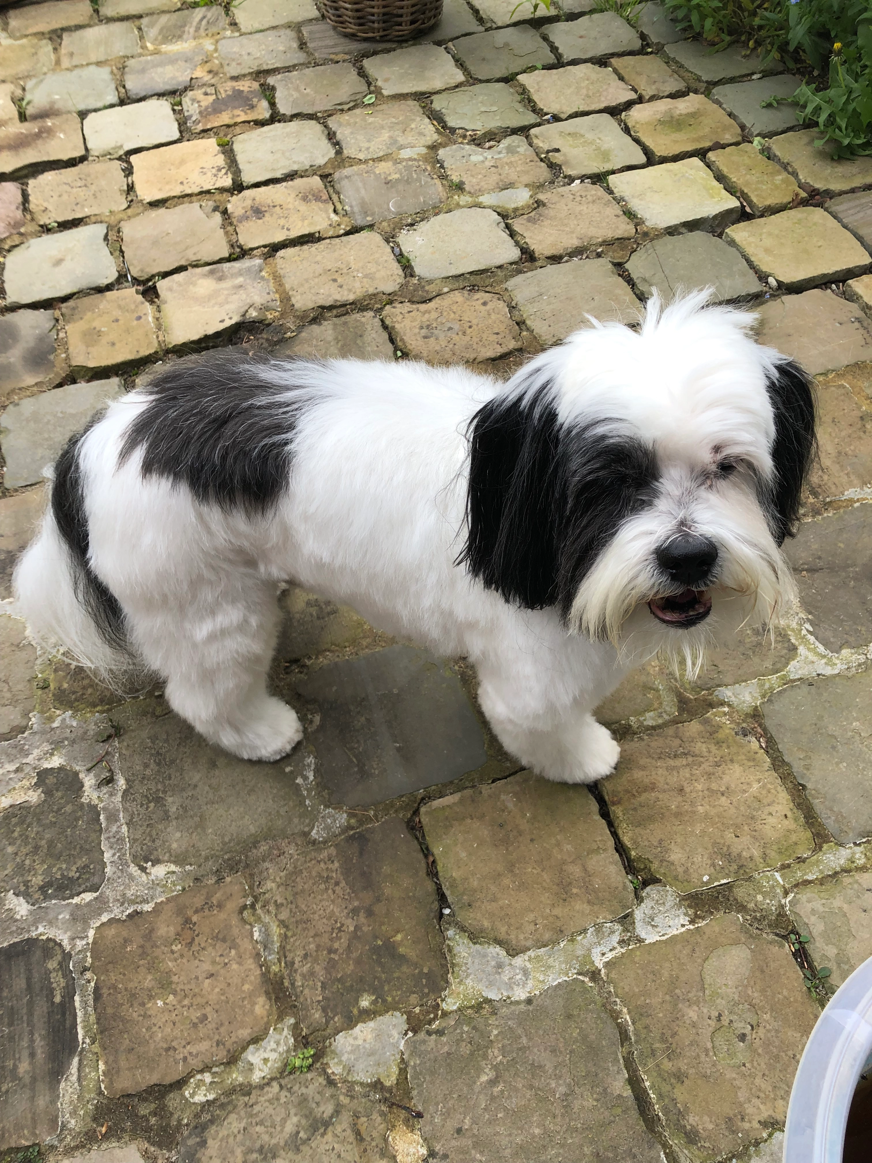 Happy - Rue De La Bruyère, Braine-l'Alleud
