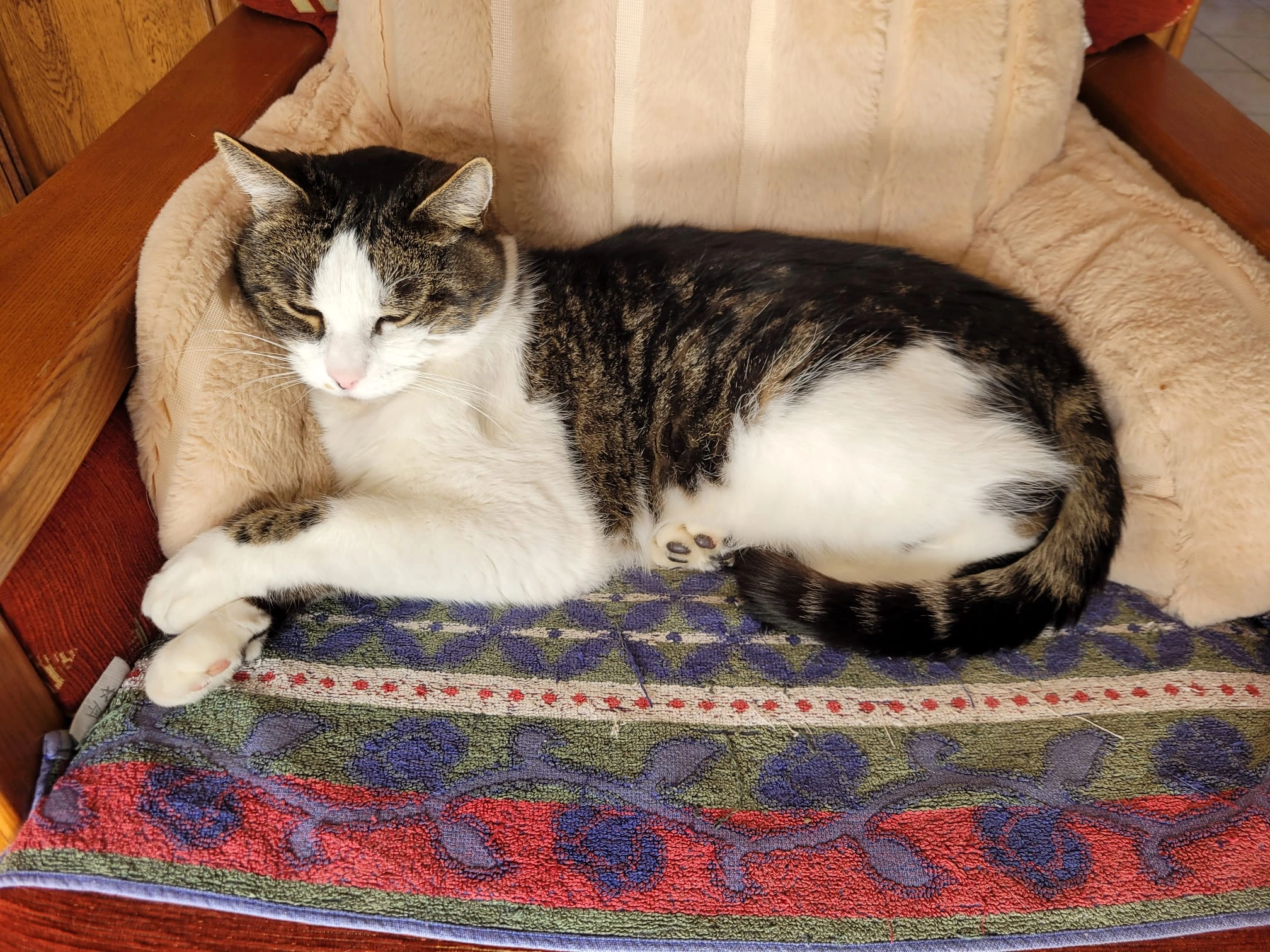 Charly - Rue Antoine Brandon, Lempdes-sur-Allagnon