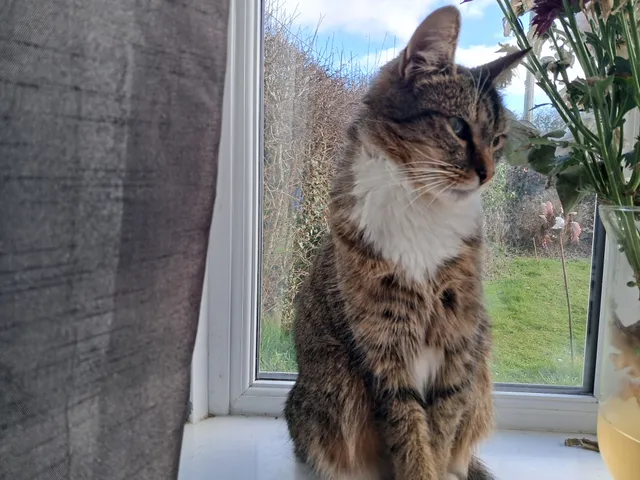 Lilly - Ridgeway, Cambridge