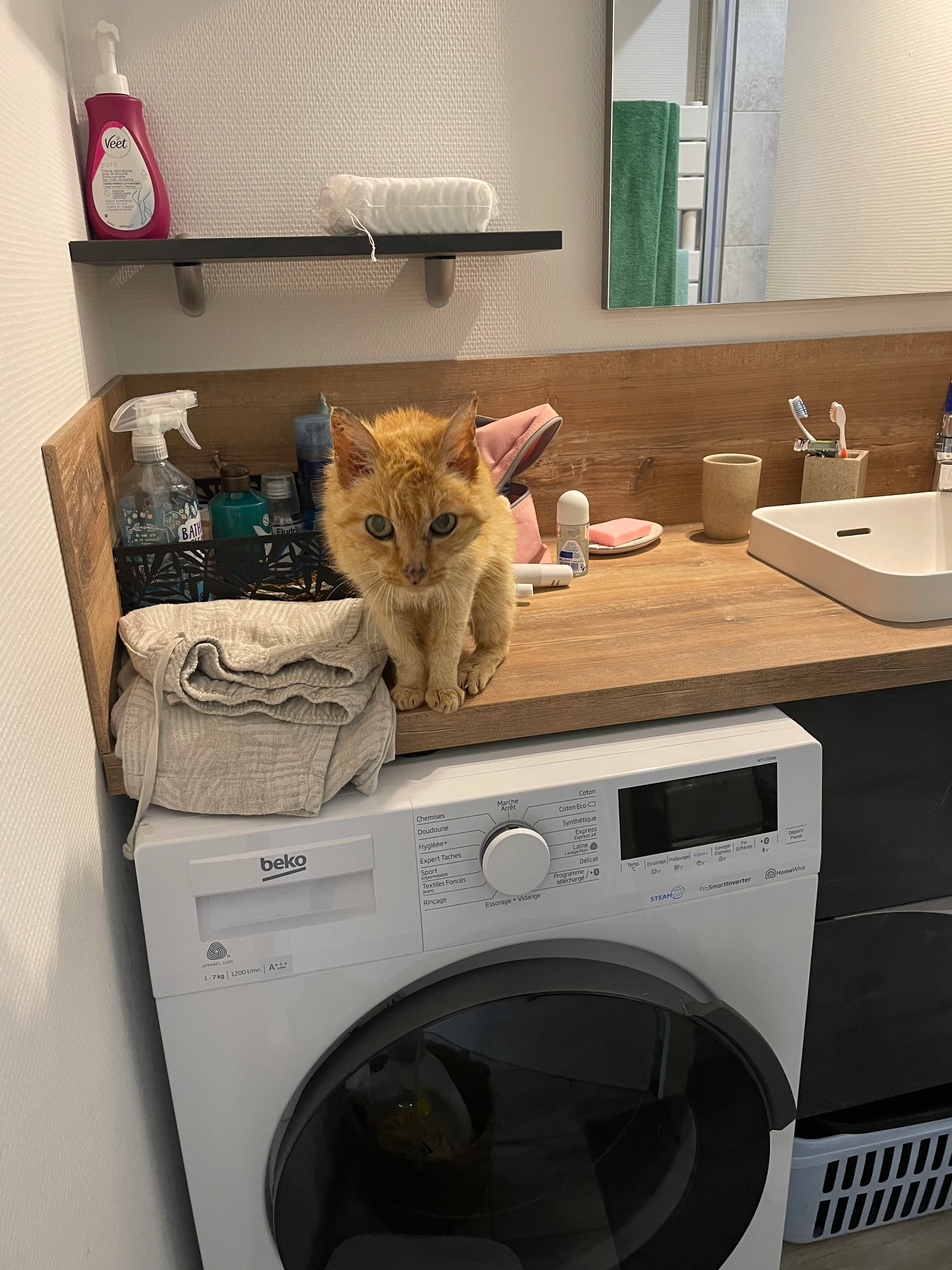 Je sais pas je l ai trouvé se ma - 16 Hameau des Dunes, Erdeven