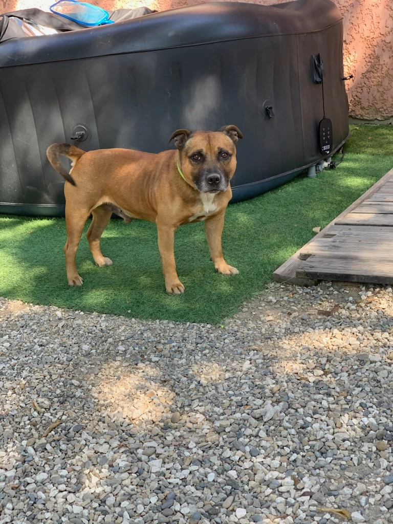 Kimbo - 1513 Grand Chemin Royal, Mallemort