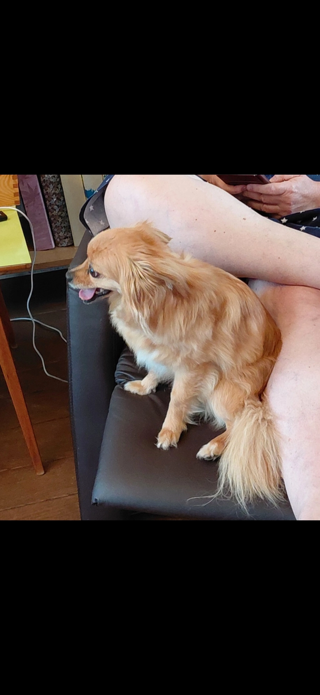 Zoee - Anthony van Opbergenstraat, Eindhoven