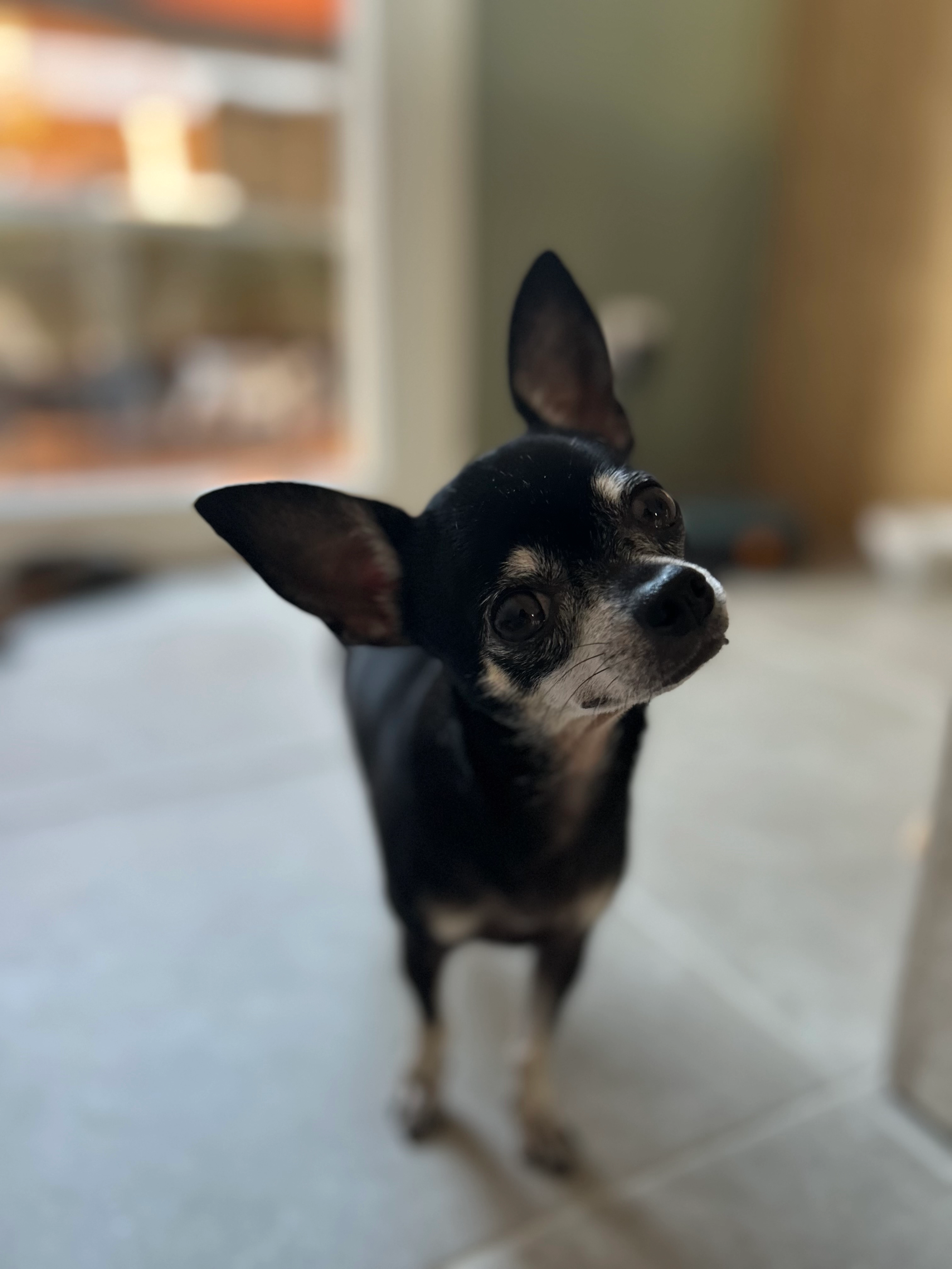 Nala - Résidence Les Éouves, Carnoules