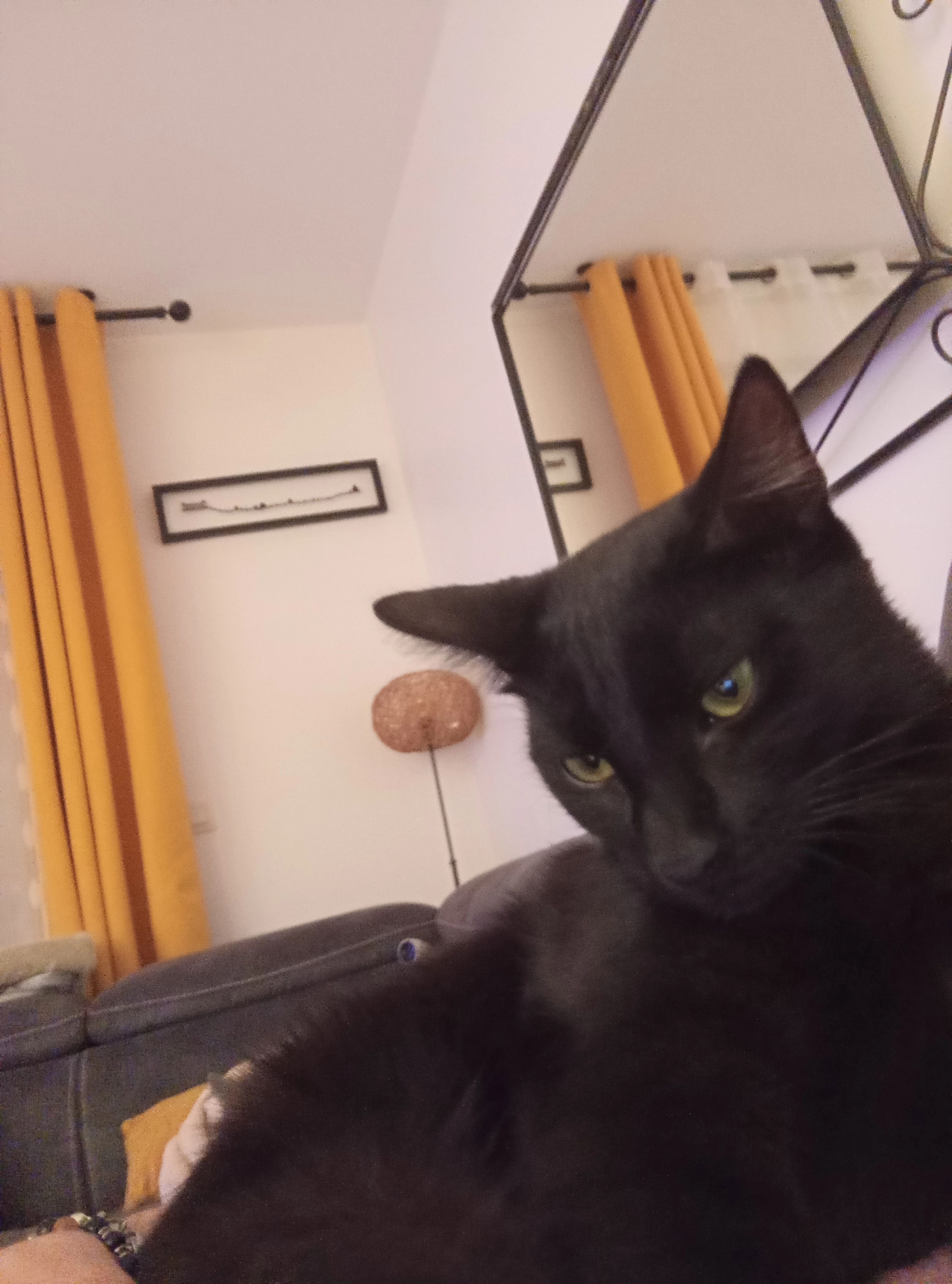 Isïa - 11 Rue Aimé Mugnier, Annecy