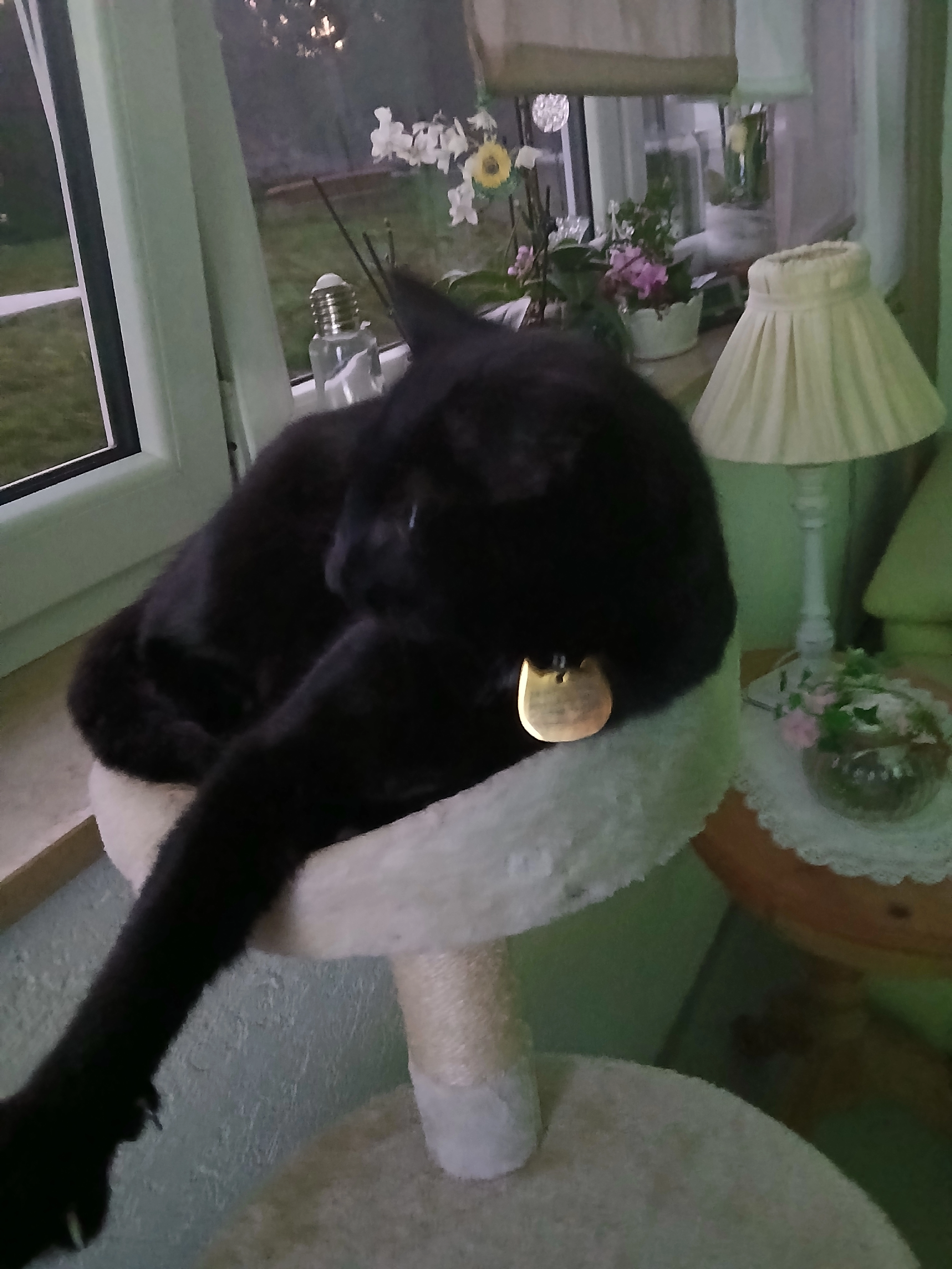 Missy - Große Bauerngasse, Höchstadt an der Aisch