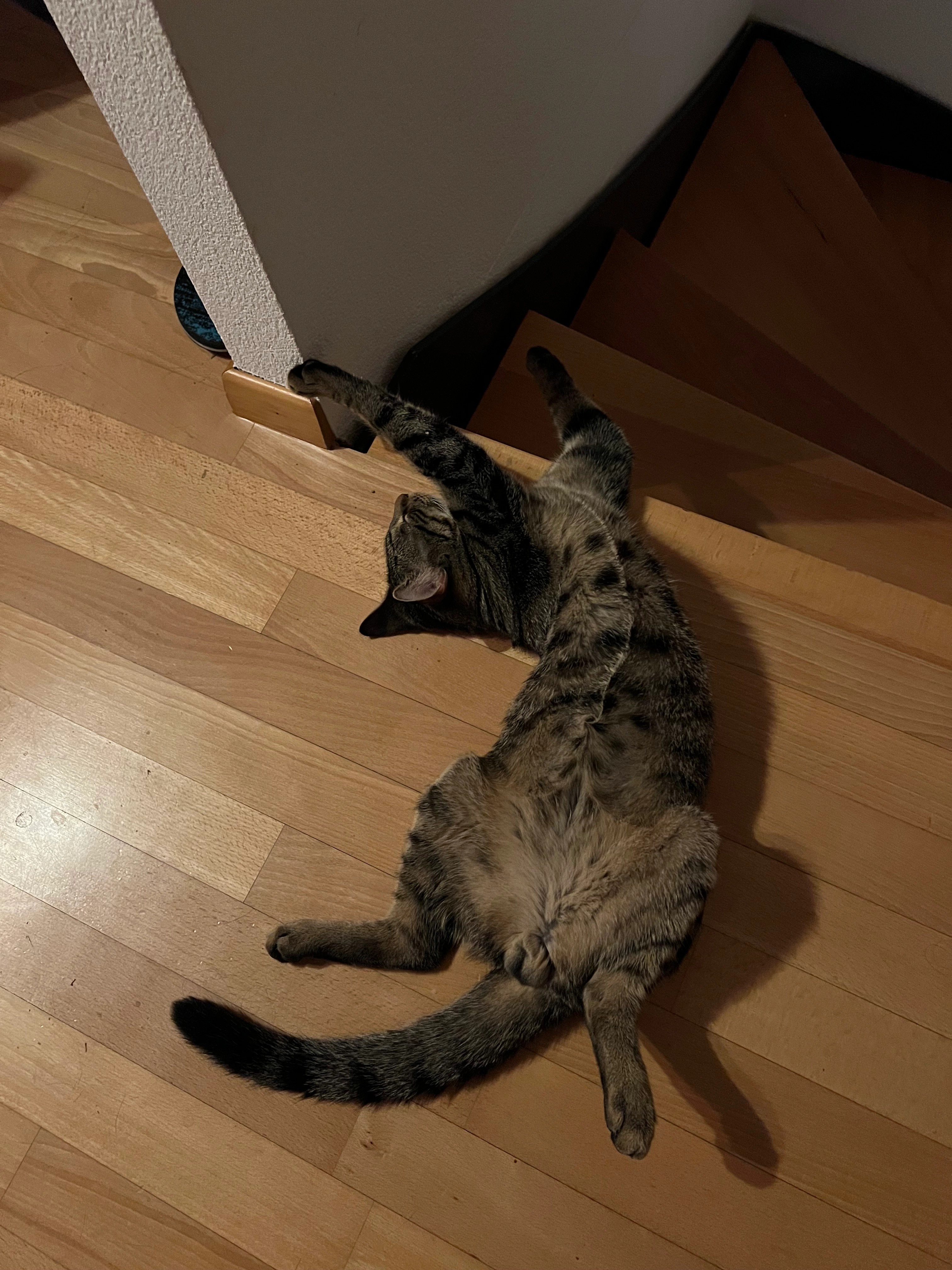 Shita - Talstrasse, Oberengstringen