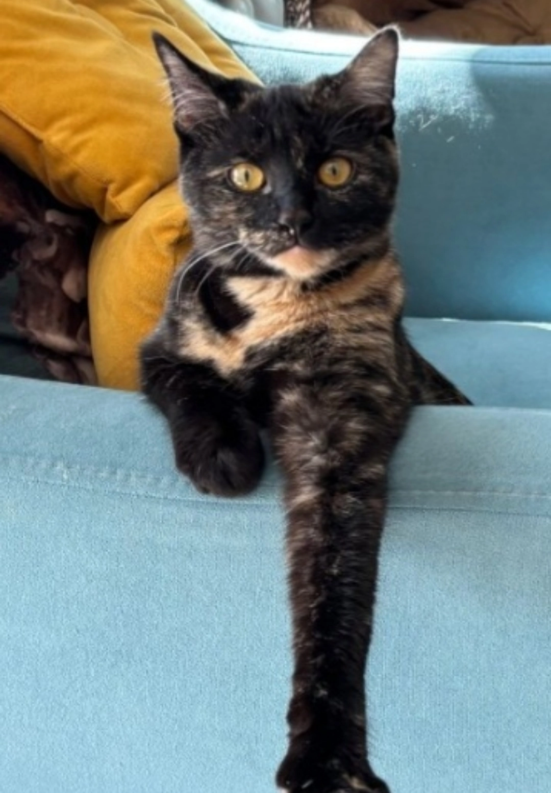 Yodi - Sehensander Straße, Rohrenfels