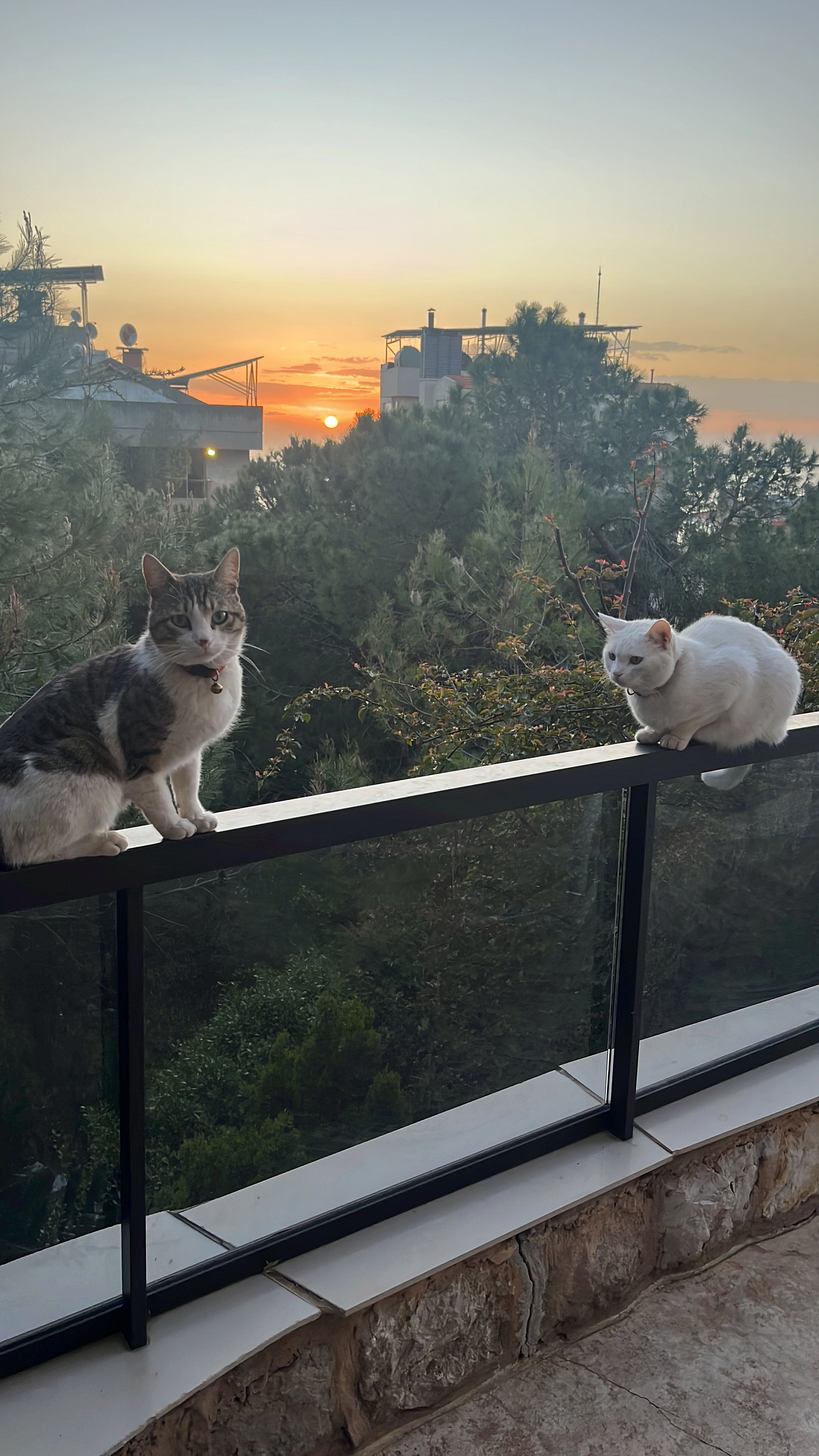 Leo - Beit el Kekko, Matn District