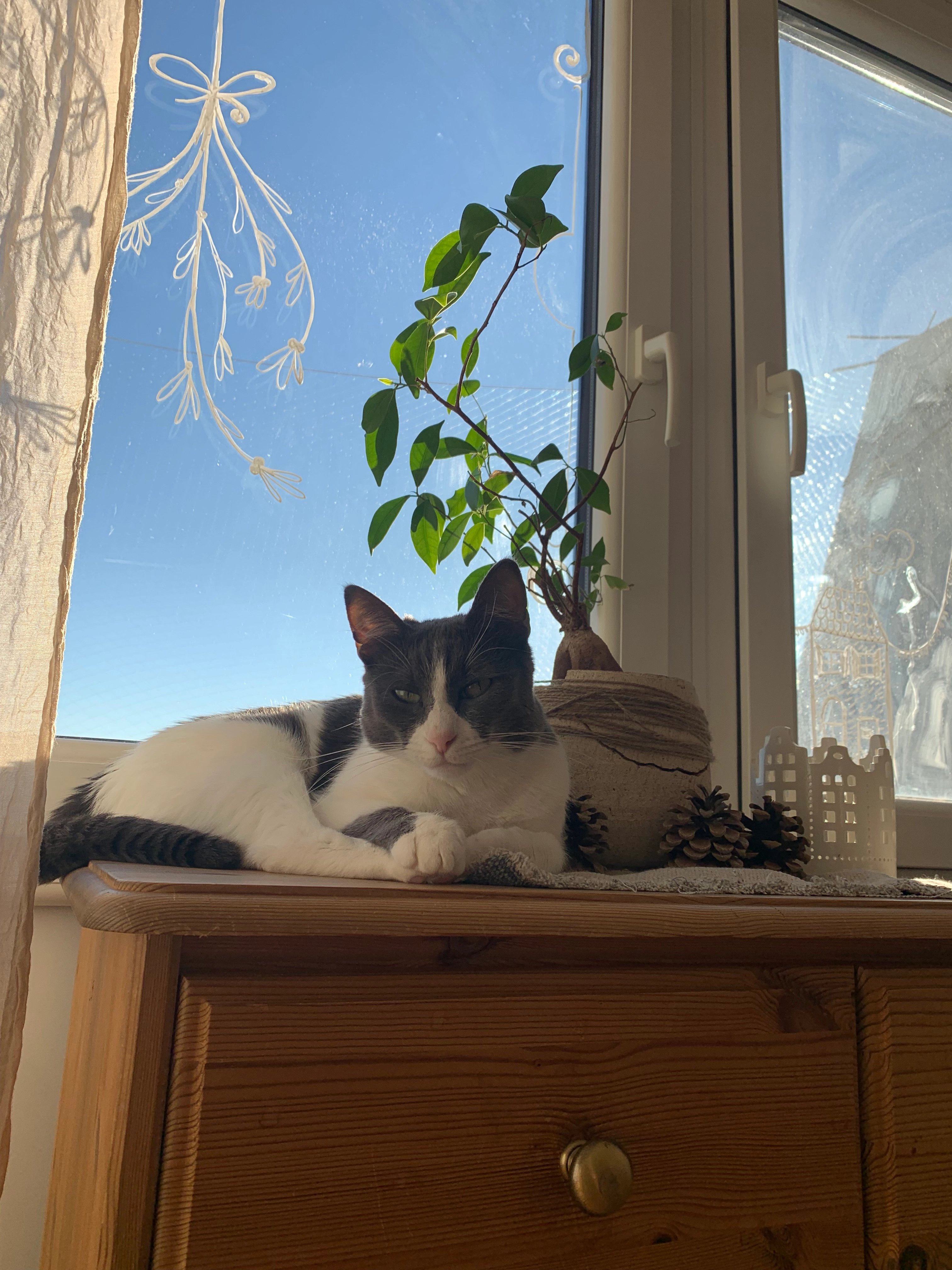 Kikou - Spessartstraße 30, Regensburg