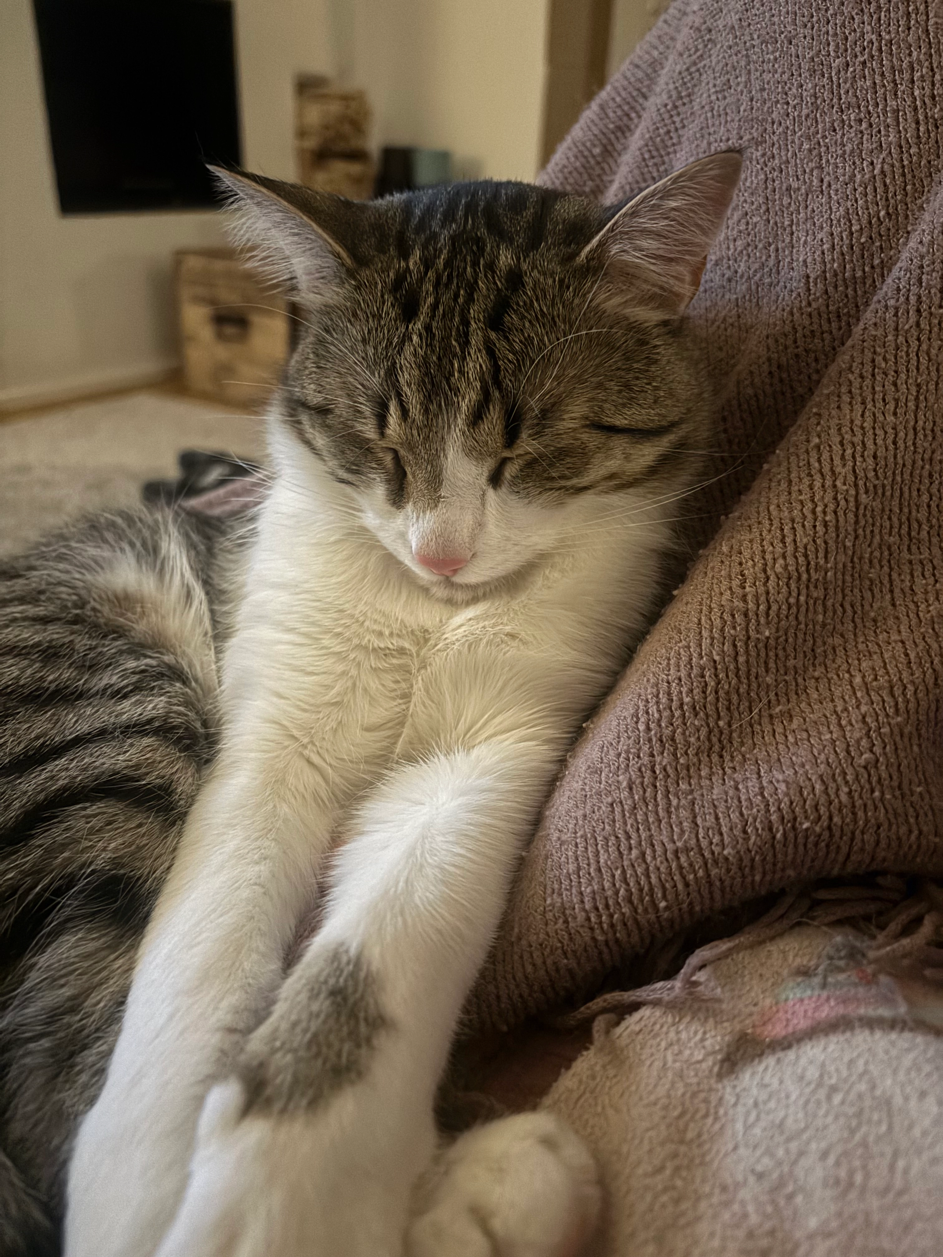 Blue - Seegrund, Weiden am See