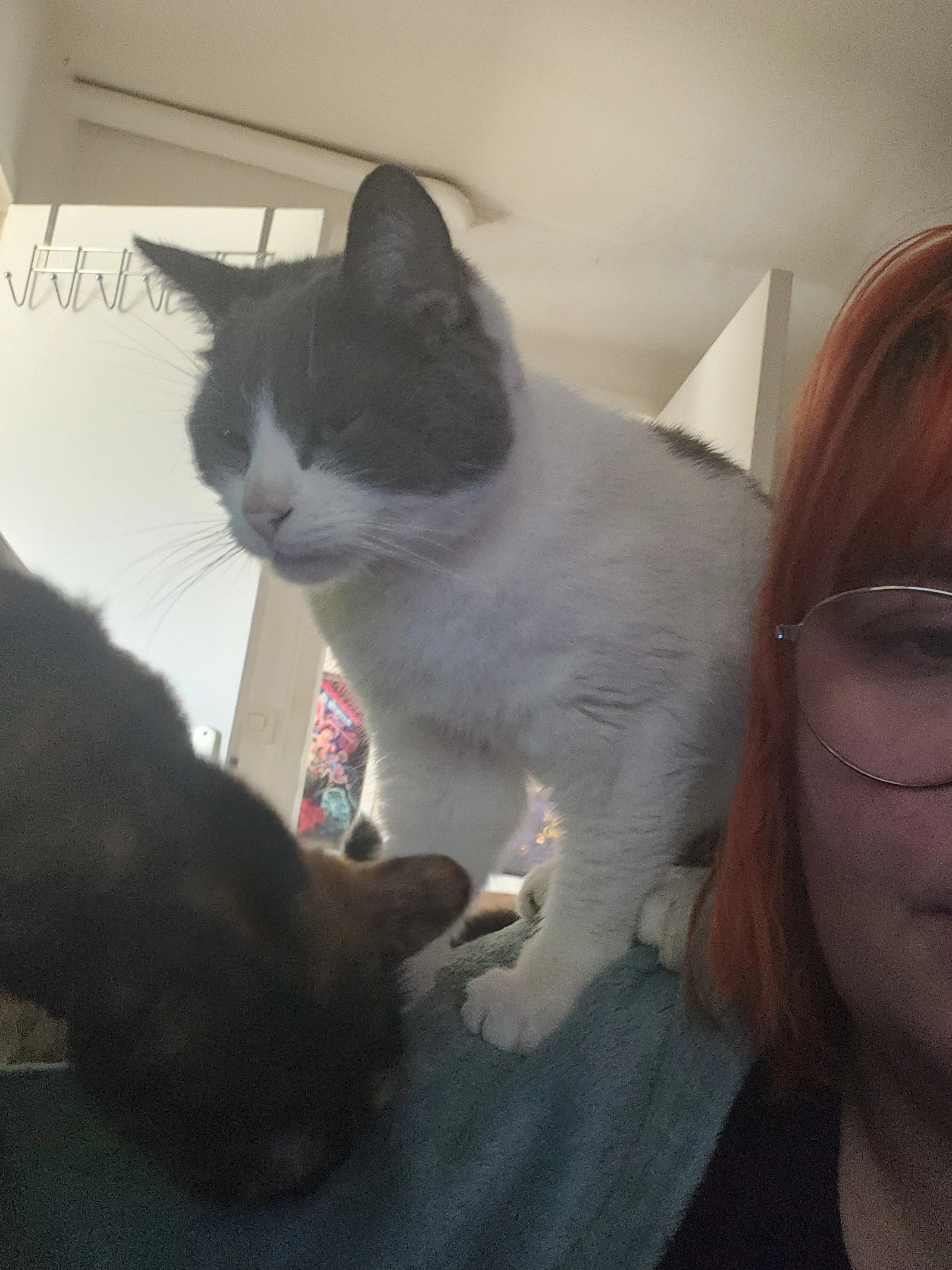 Loomi - Rue Des Écoles, Warluis