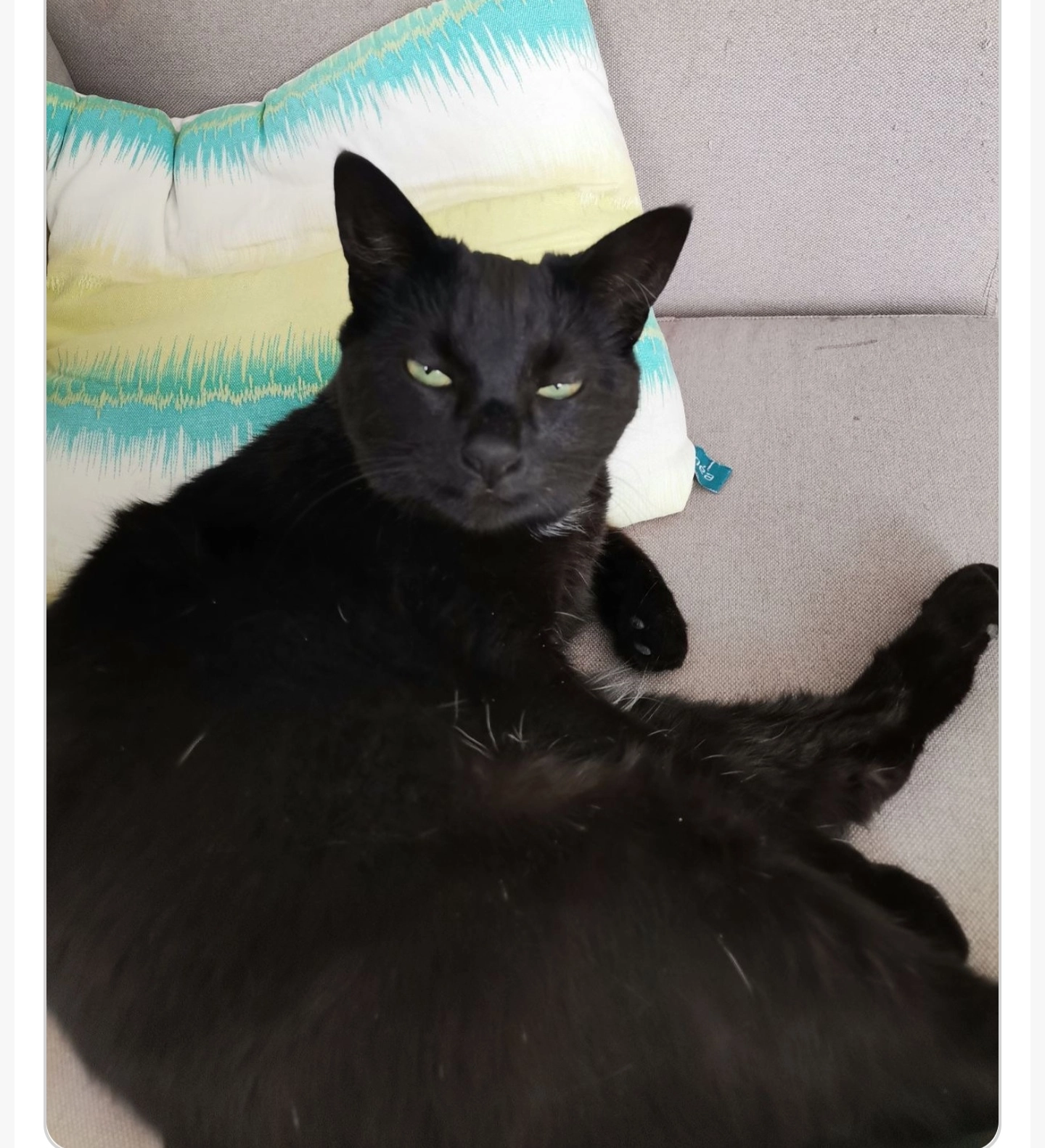 Chanel  - 48 Grande Rue, Lumigny-Nesles-Ormeaux