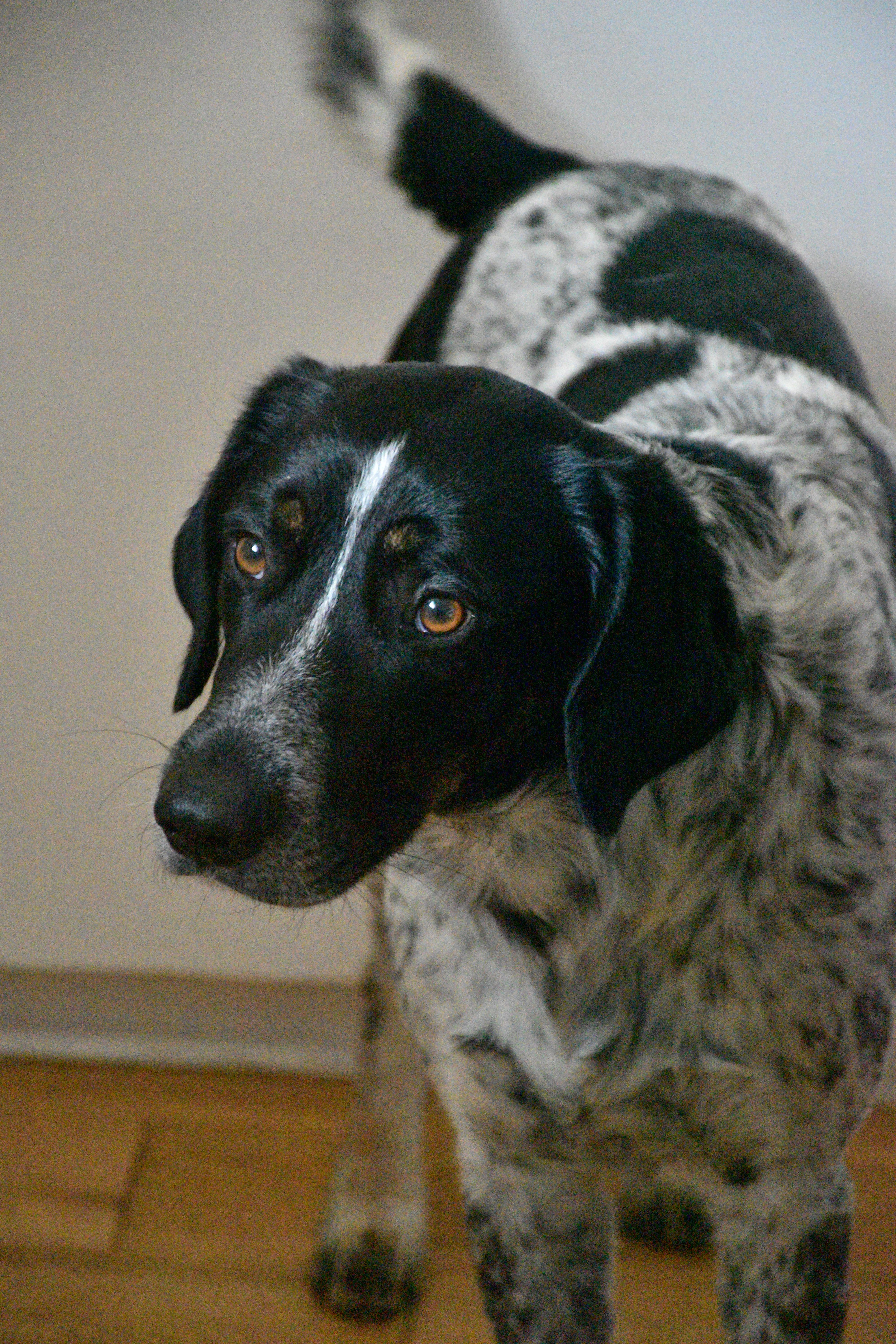 Chiro  - 30730, Fons