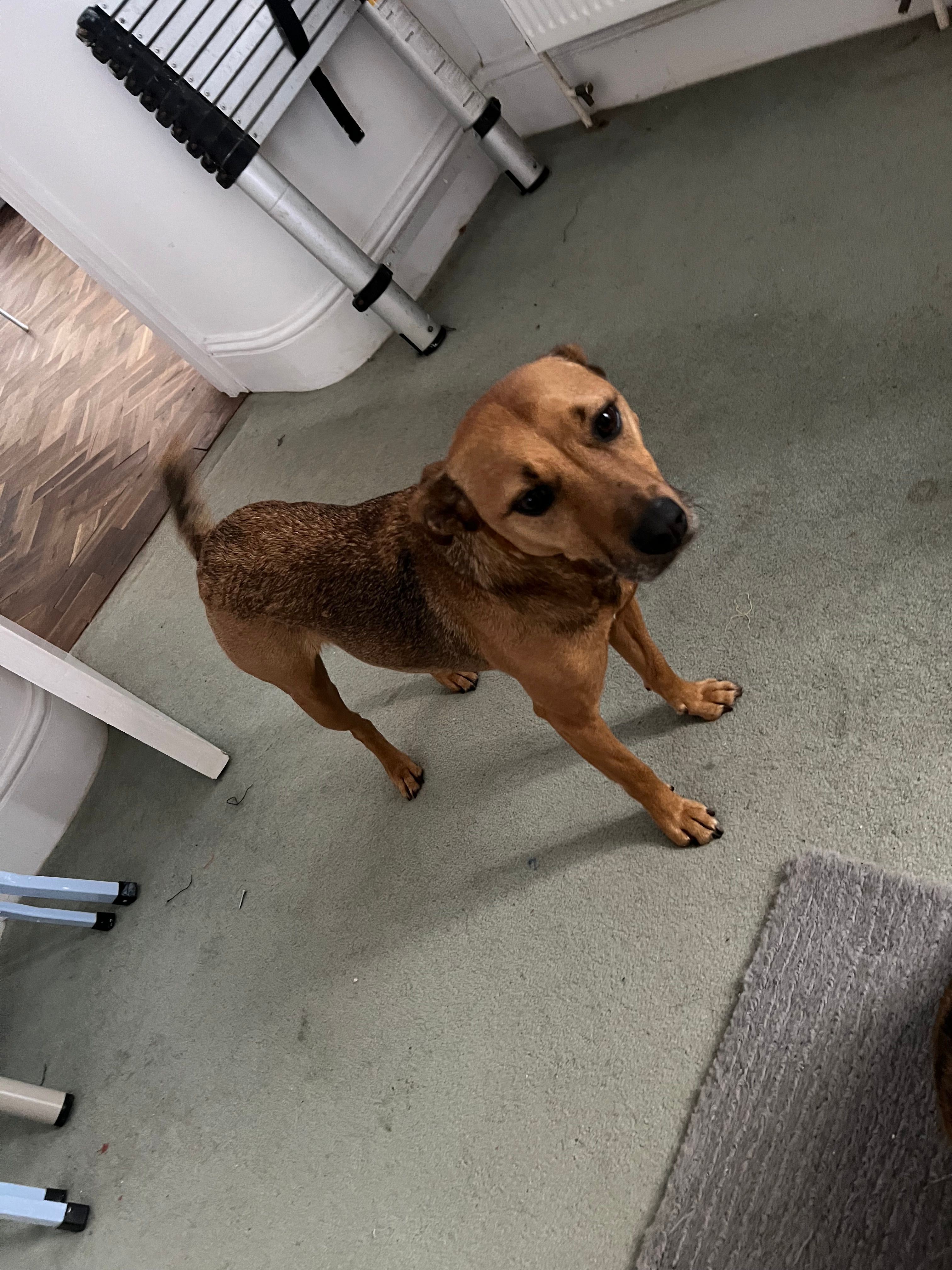 Wendy - Lansdowne Place, Hove