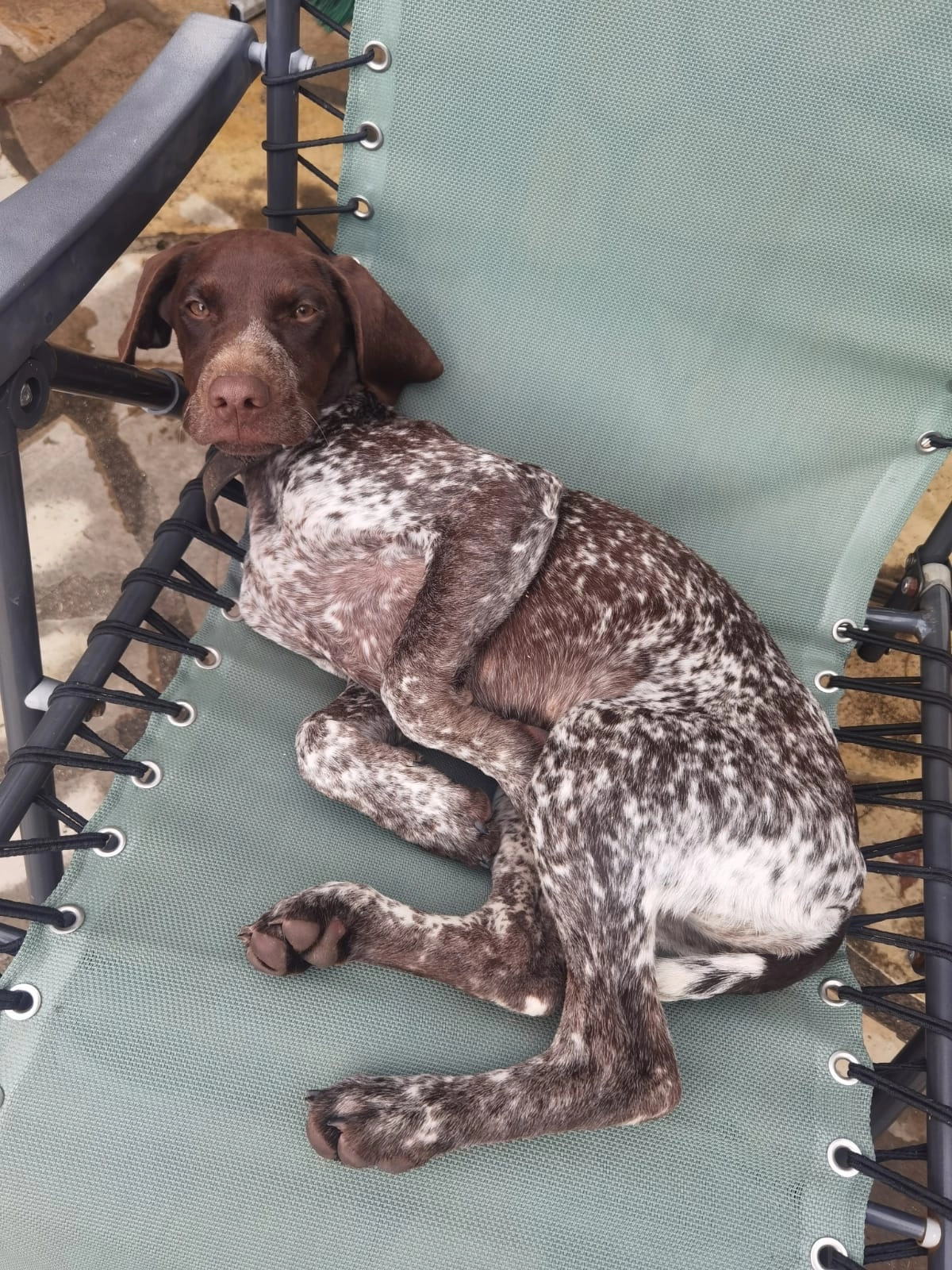 Ouara - Route de l'Église, Caubios-Loos