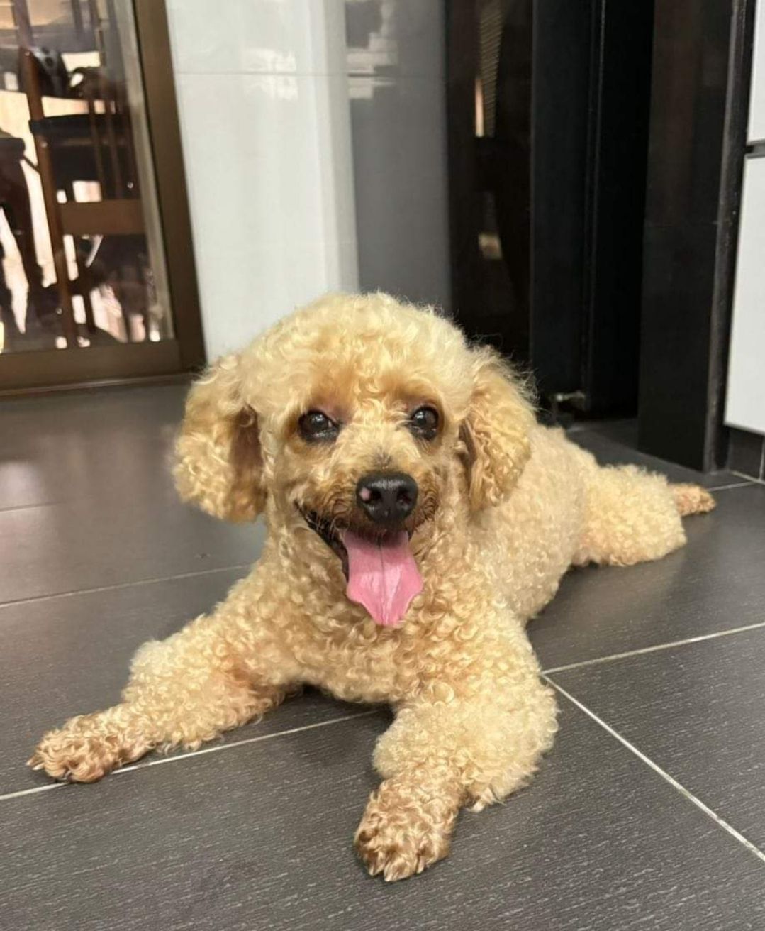 Giggsy  - 40460, Shah Alam