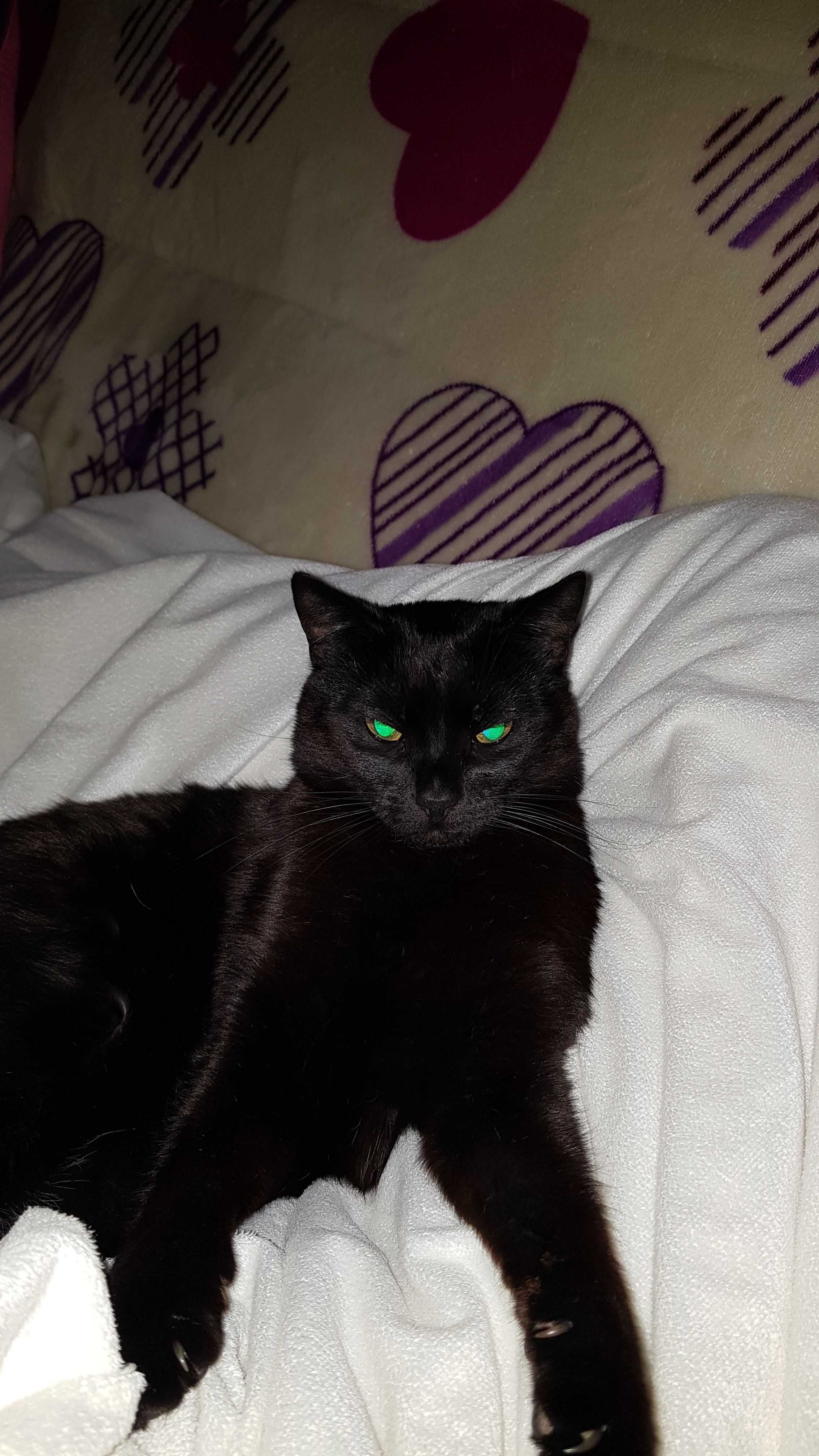 Churrita - Calle de San Lorenzo, Camarena