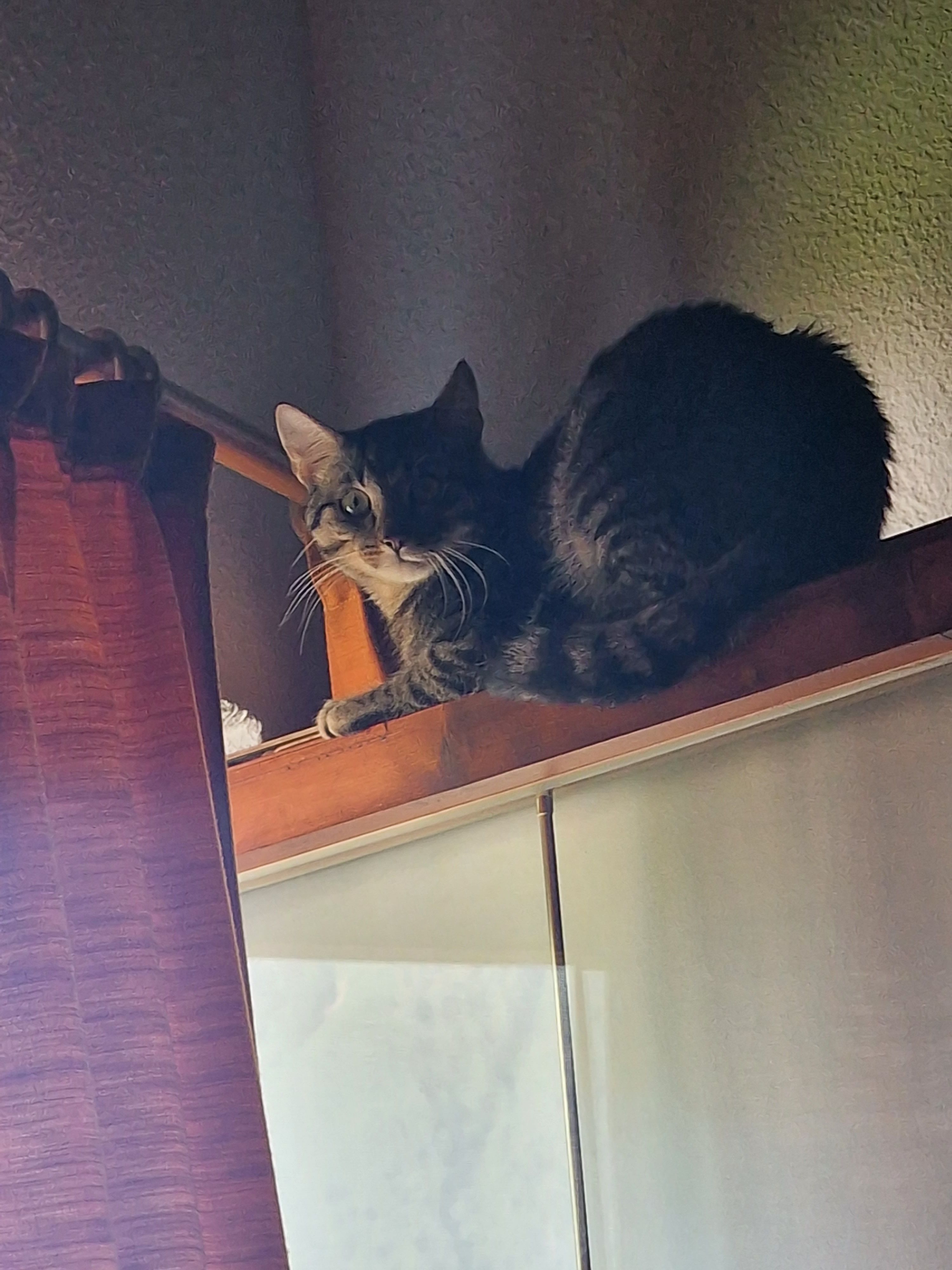 Gimli - Doktor-Siegfried-Gapp-Weg, Mieming