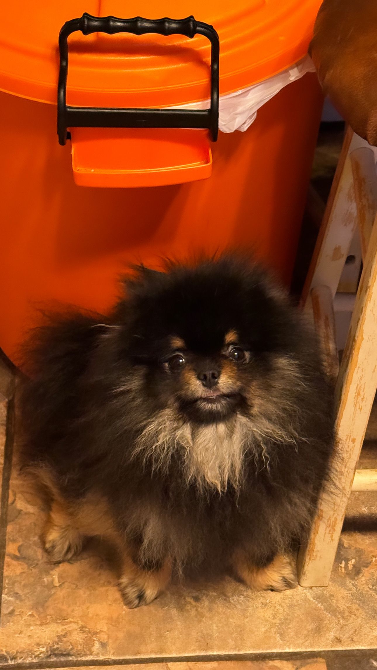 Jayj - Mill Court, Gainsborough