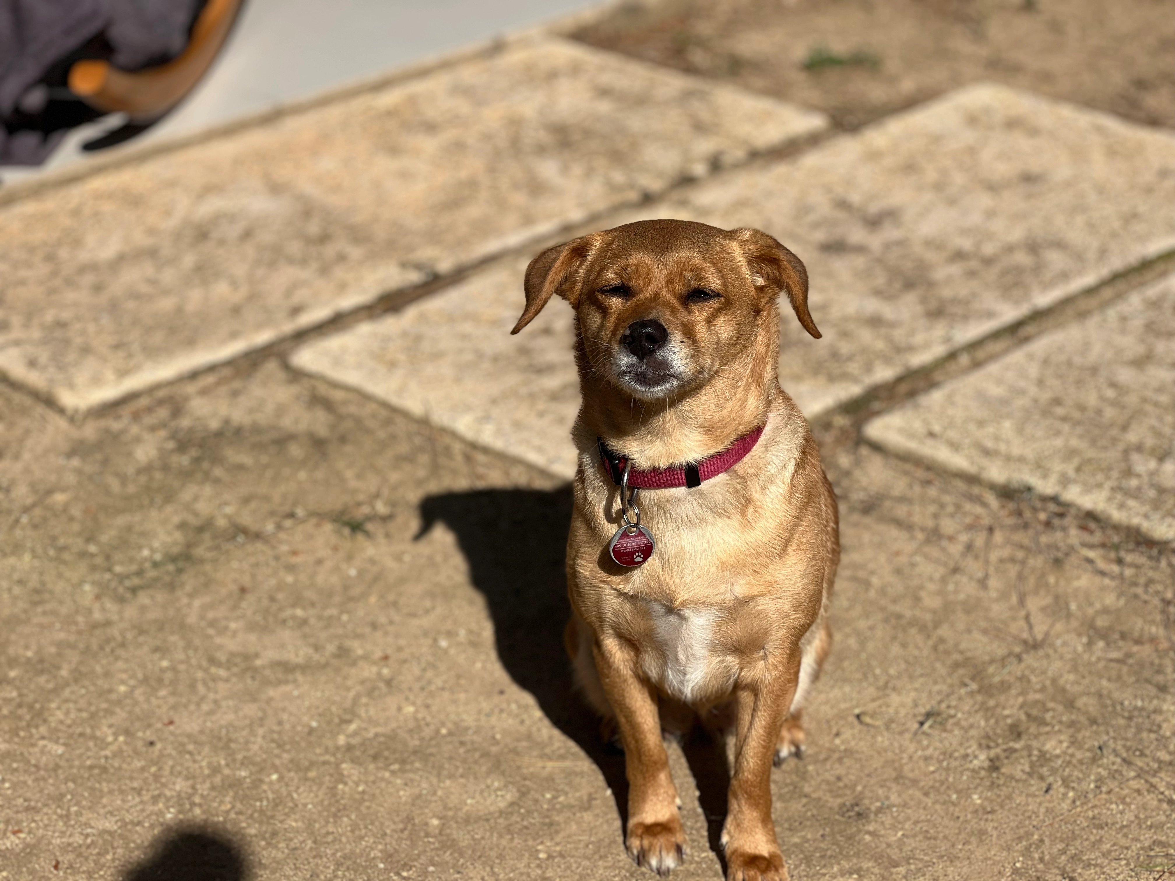 Amalia - Carrer Esperança, Capdepera