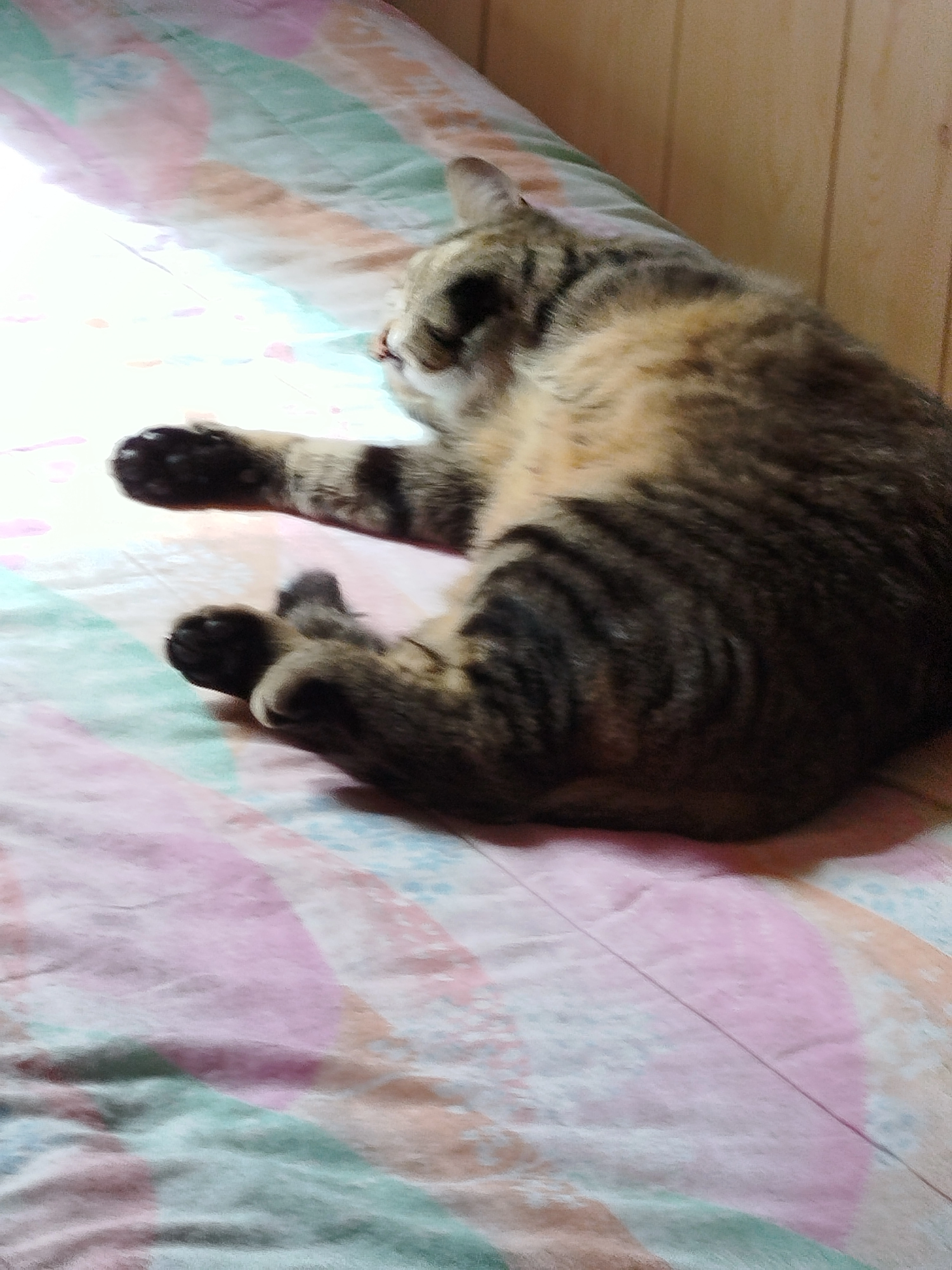 Luna - Rue Thiers, Dommartin-lès-Toul