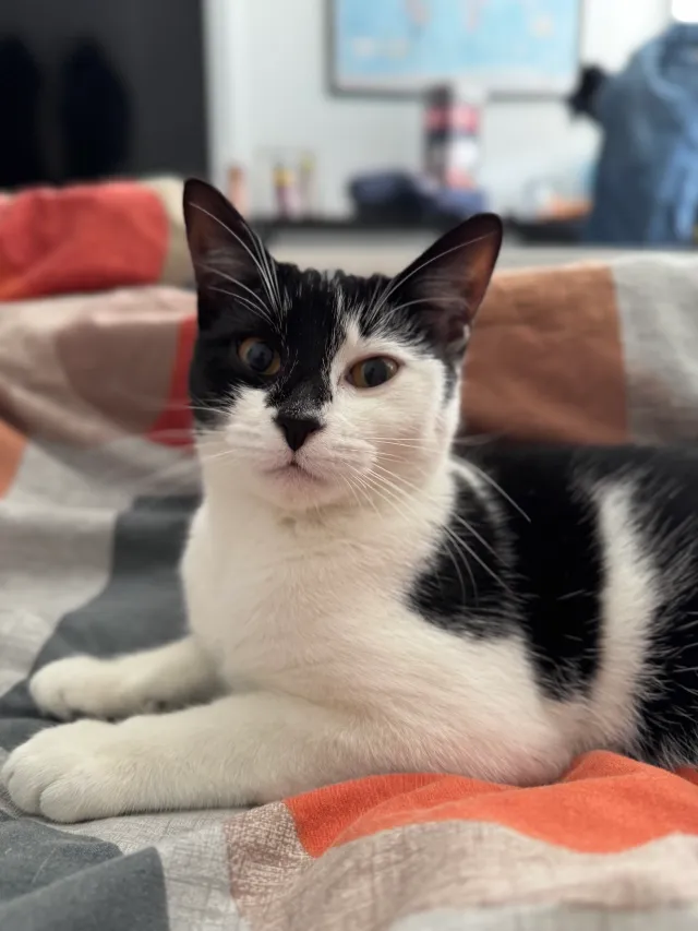 Luna - Bower Way, Slough