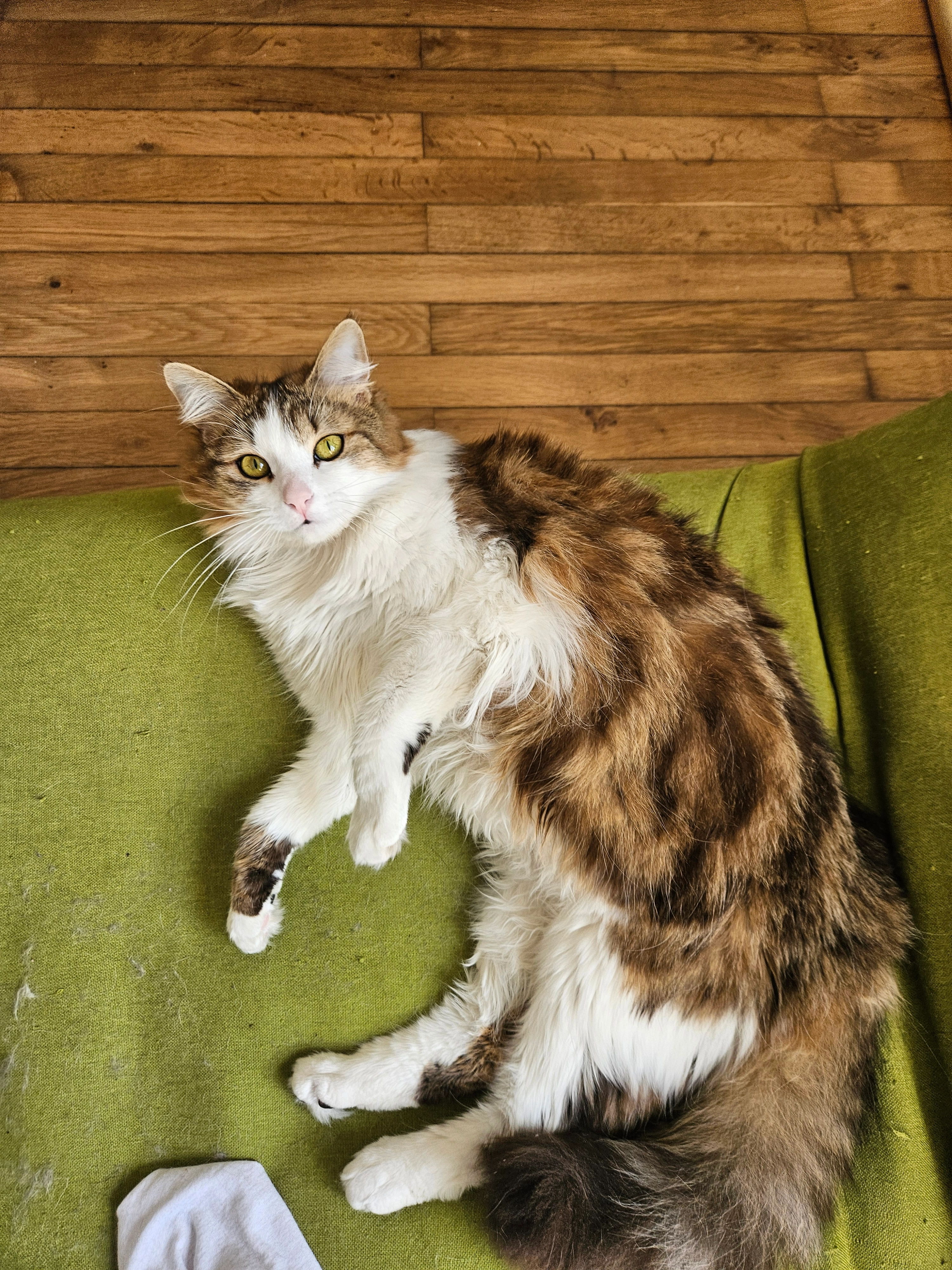 Heïa - 7 Route de Lyon, Cognin