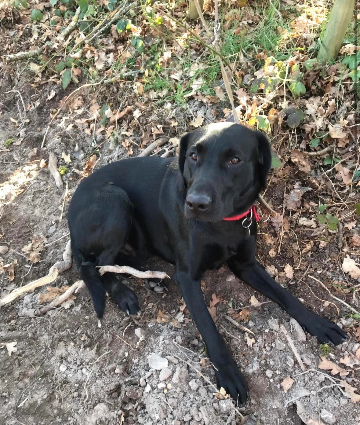 Owen - Route de Saint-Bouize, Vinon