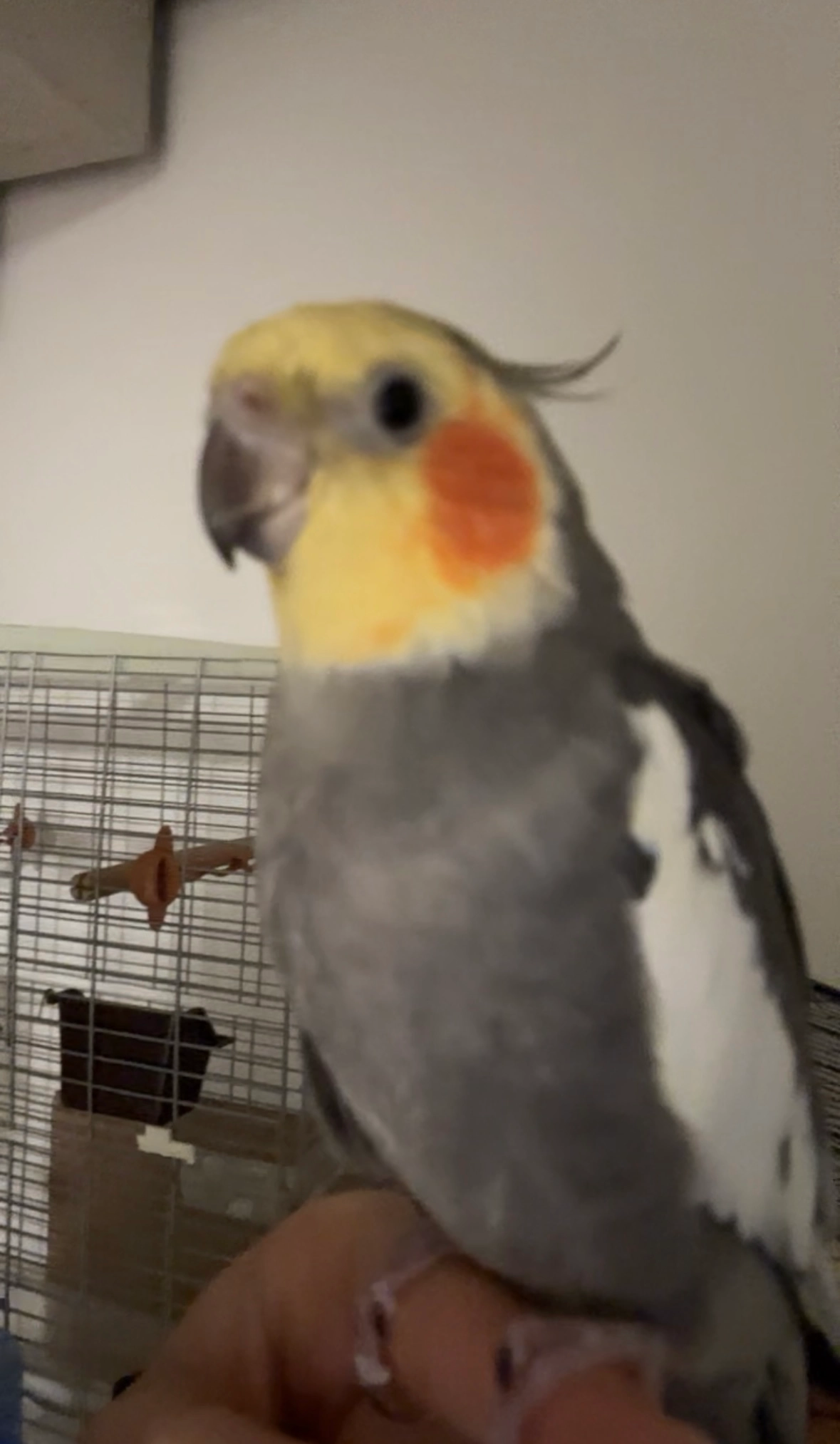 Rico - Limbachstraße, Friedrichsthal