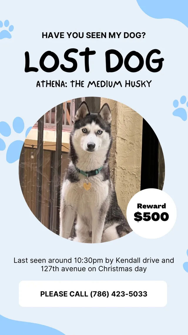 Athena - 8888 SW 131st Ct, Miami