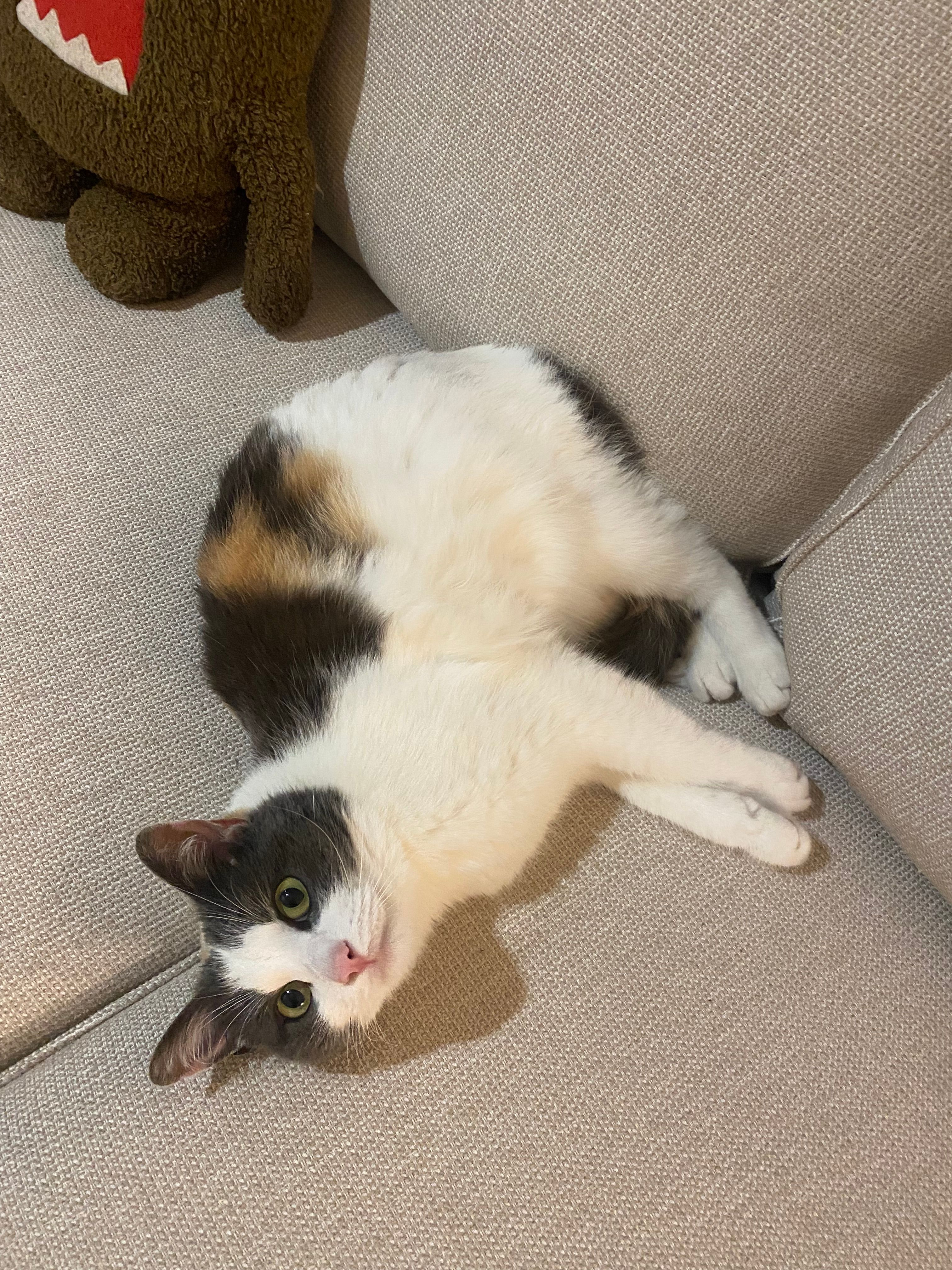 Luna - Rua De Santo Isidro, Porto