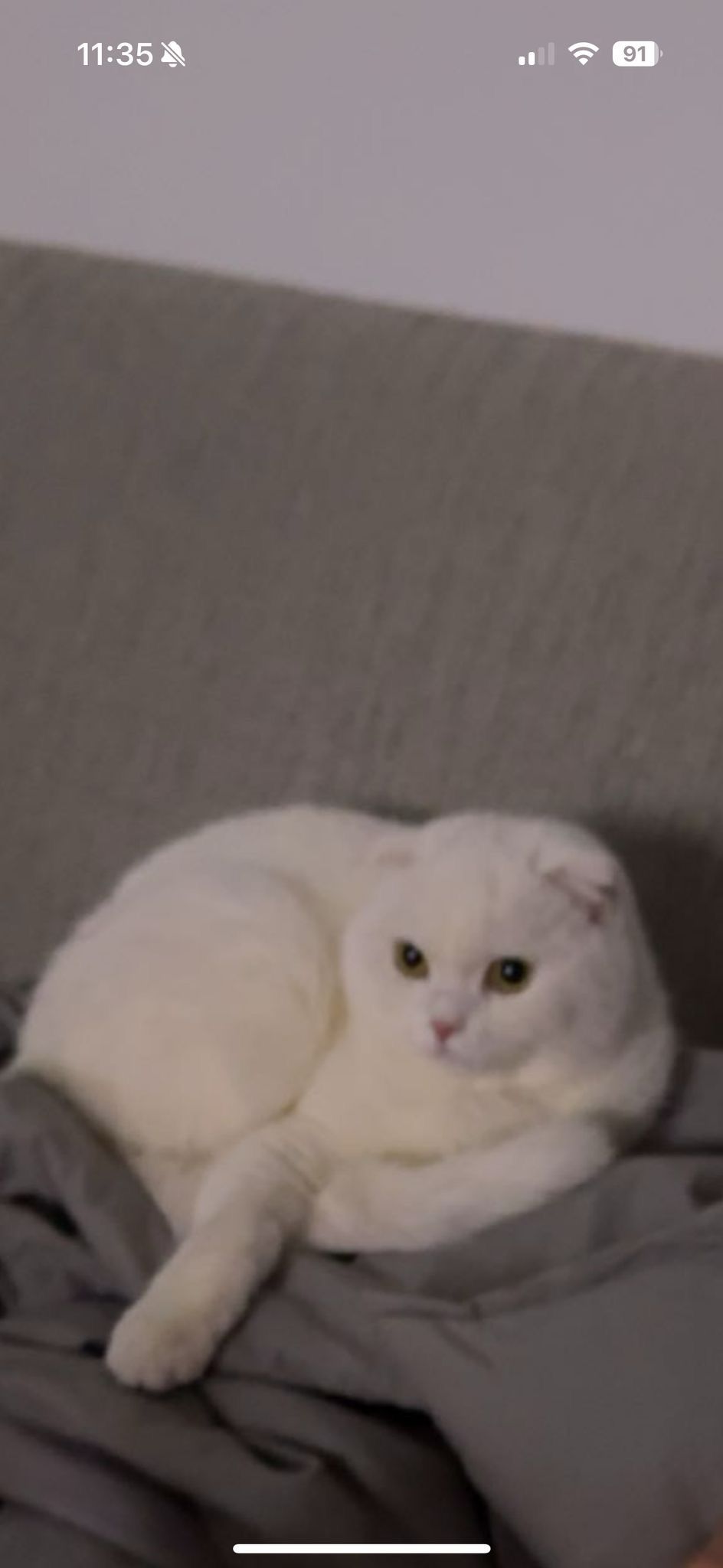 bella  - Heinrich-Fickenscher-Straße, Bayreuth