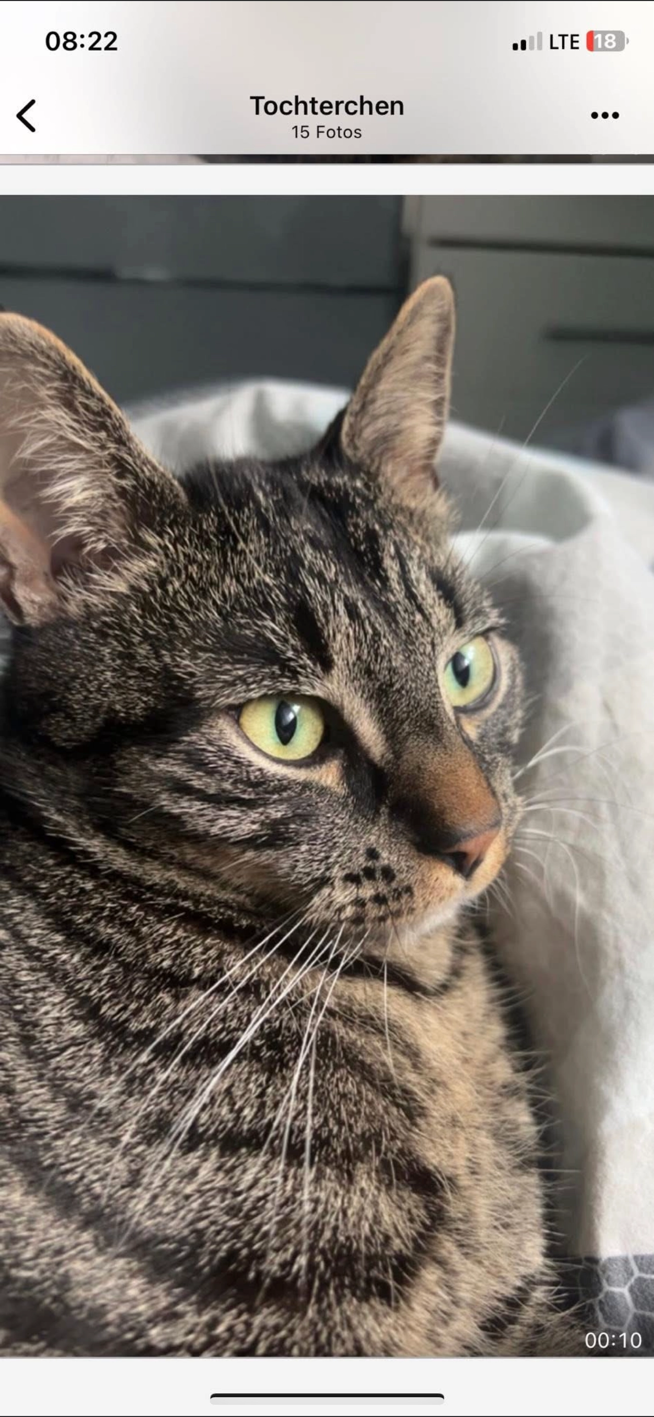 stopi - Veit-Stoß-Straße, Bamberg