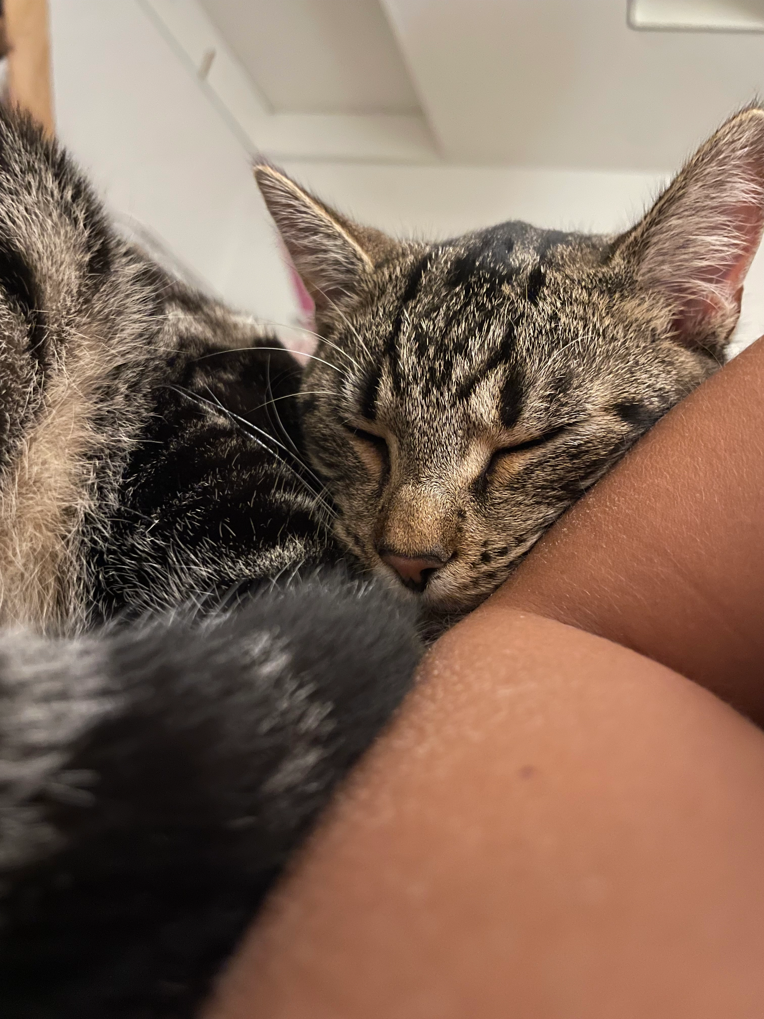 Ballou - Kiewitseweg, Zutendaal