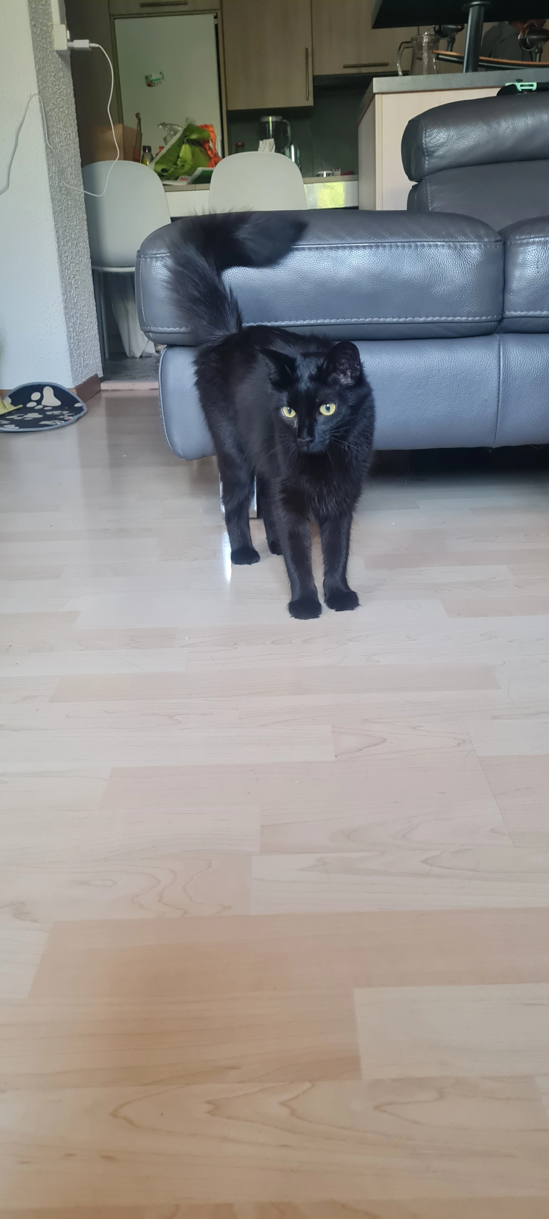 Gyoza - Chemin Du Bon, Reverolle