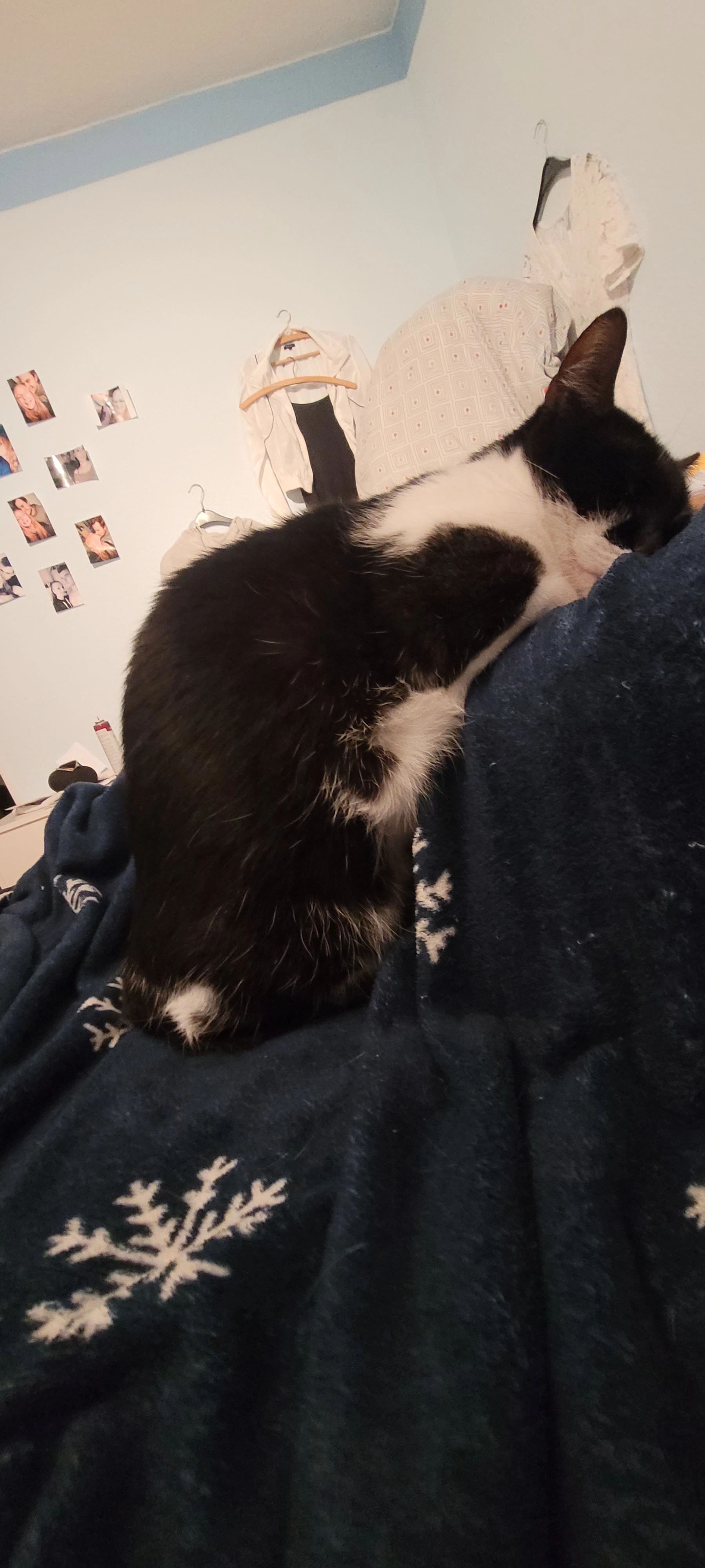 Coda - Berliner Ring, Rotenburg