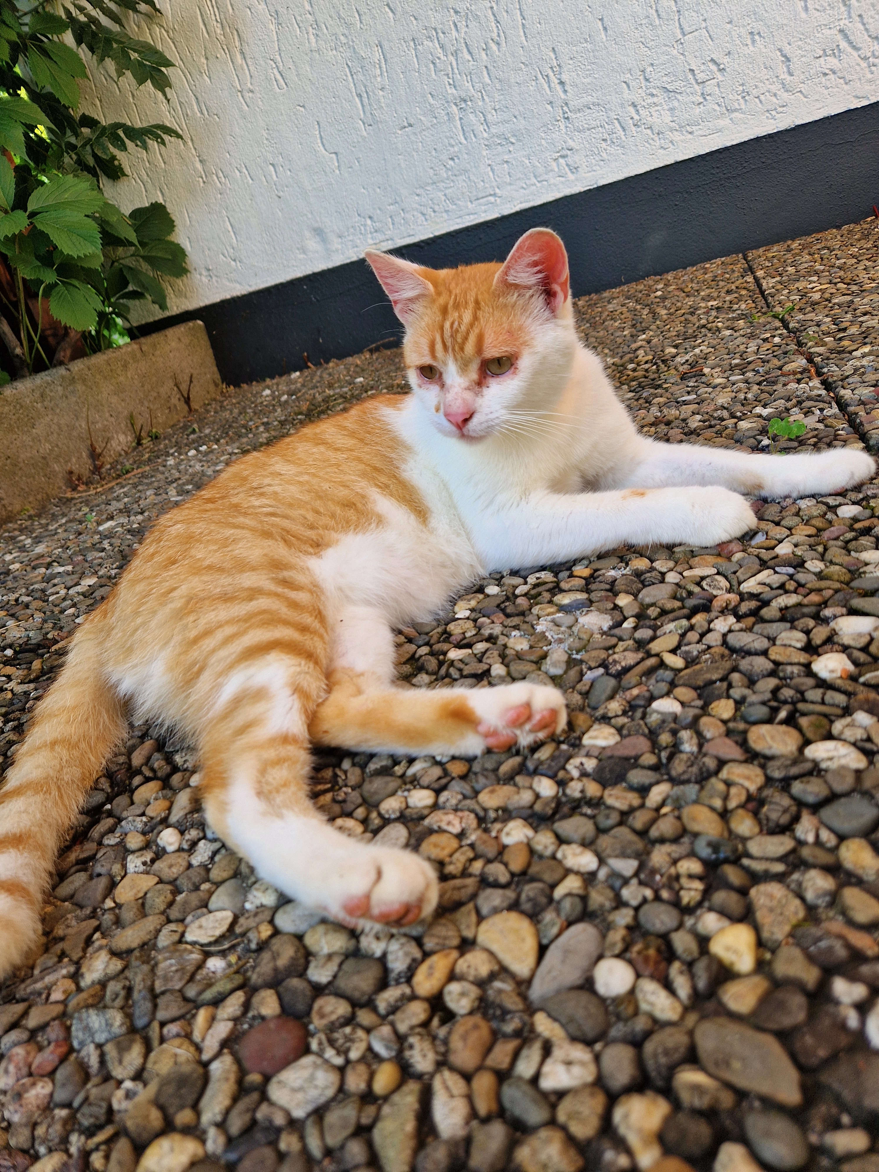 Robert - Robert-Koch-Straße 7, Helmbrechts