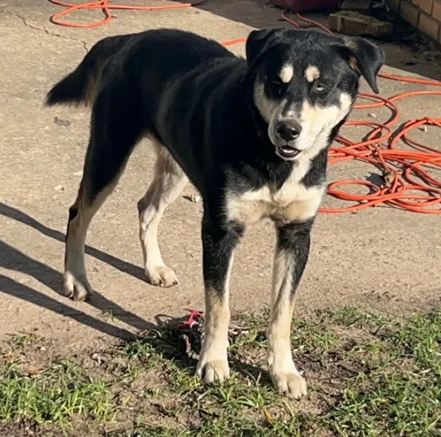 Onyx - 1901 Morninglo Ln, Columbia